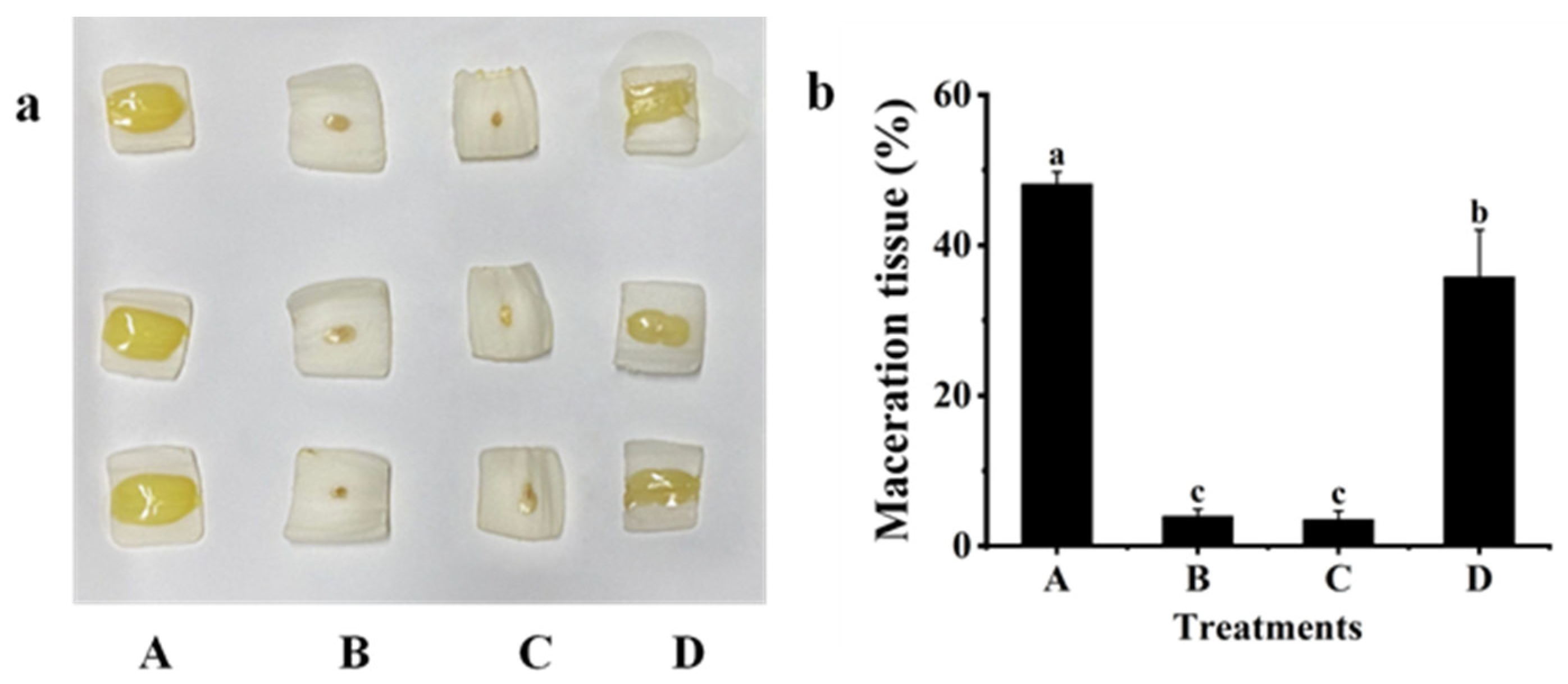 Plants 12 03037 g005 Plants 12 03037 g005
