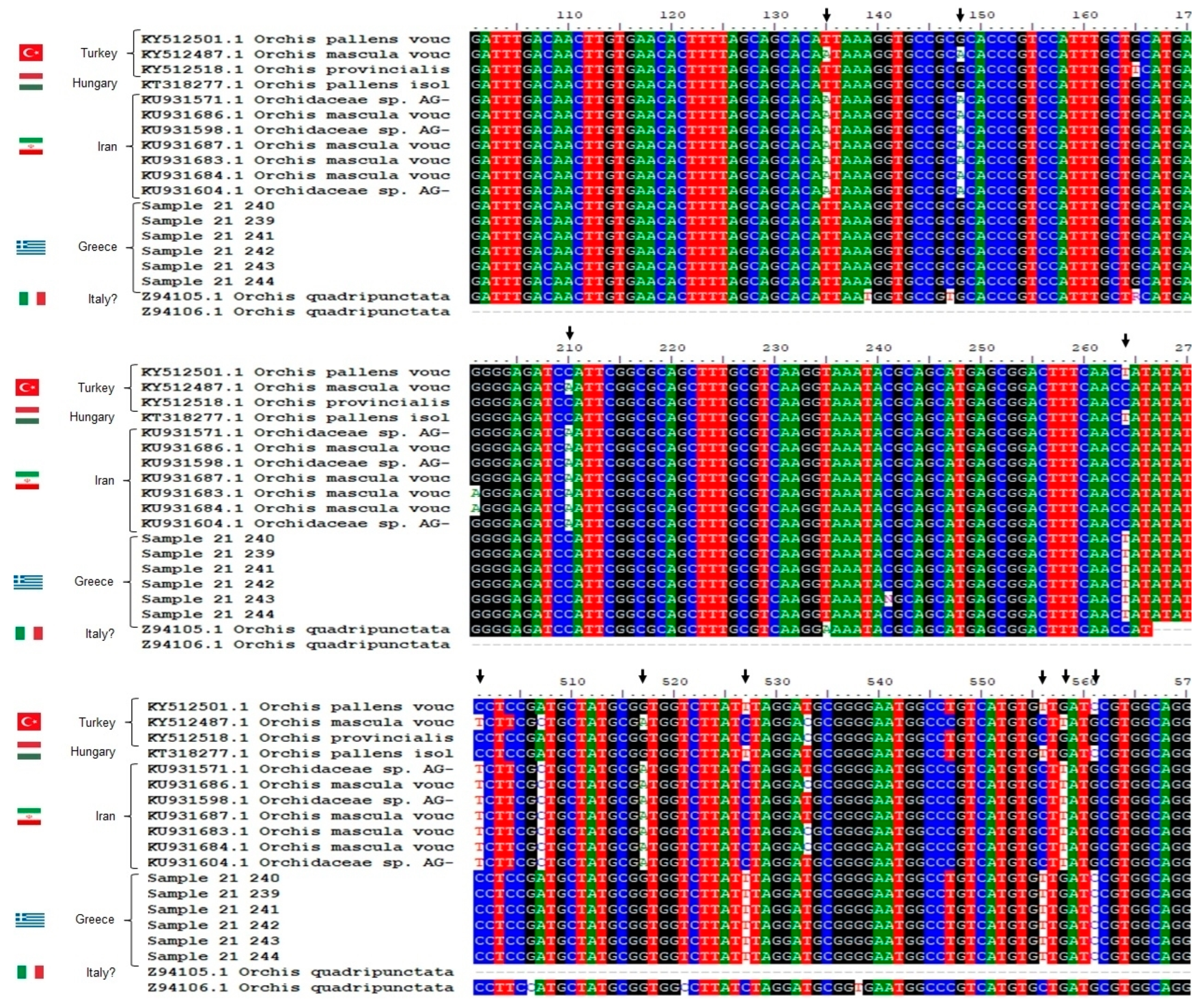 Plants 12 03038 g002