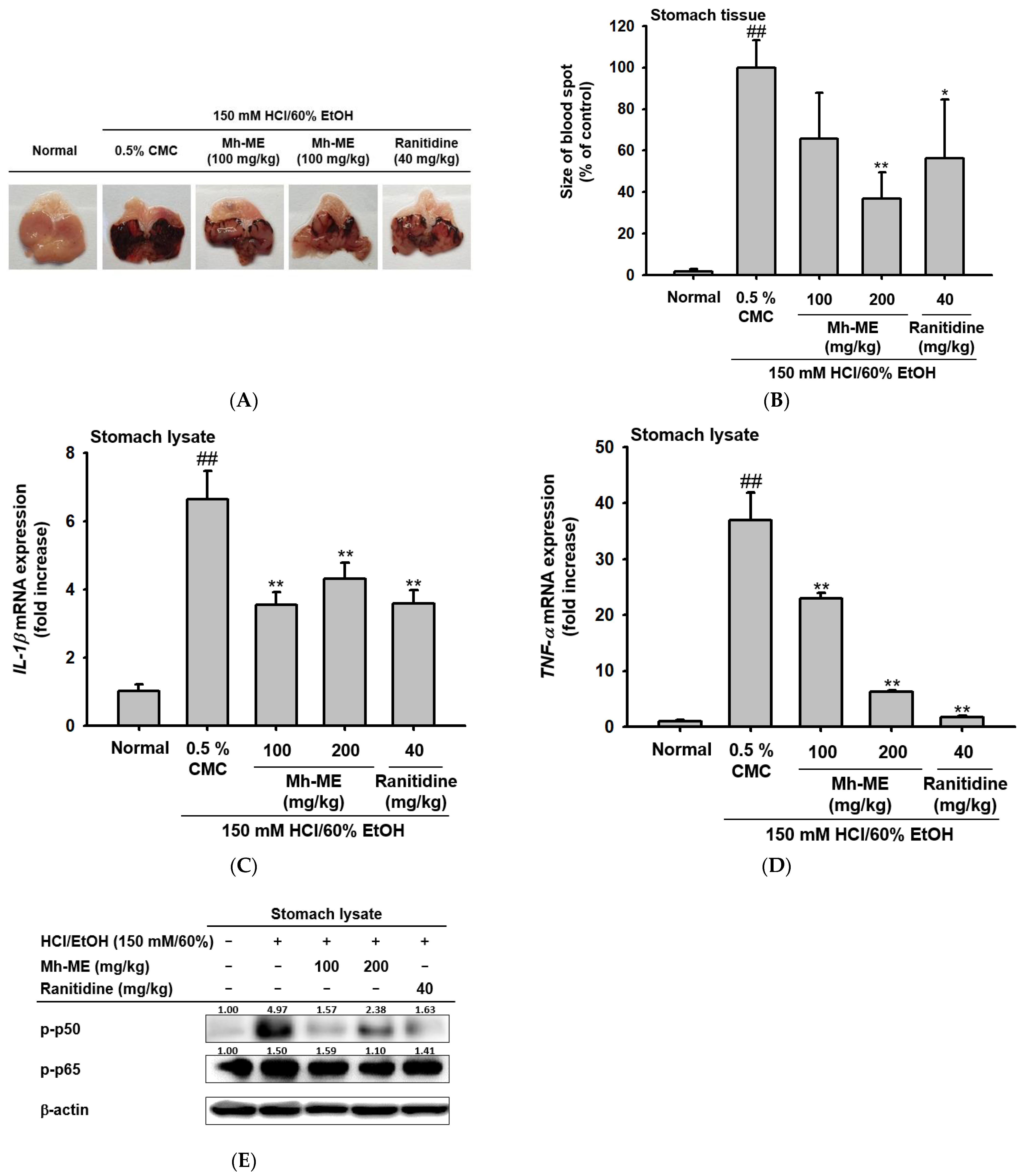 Plants 12 03044 g005