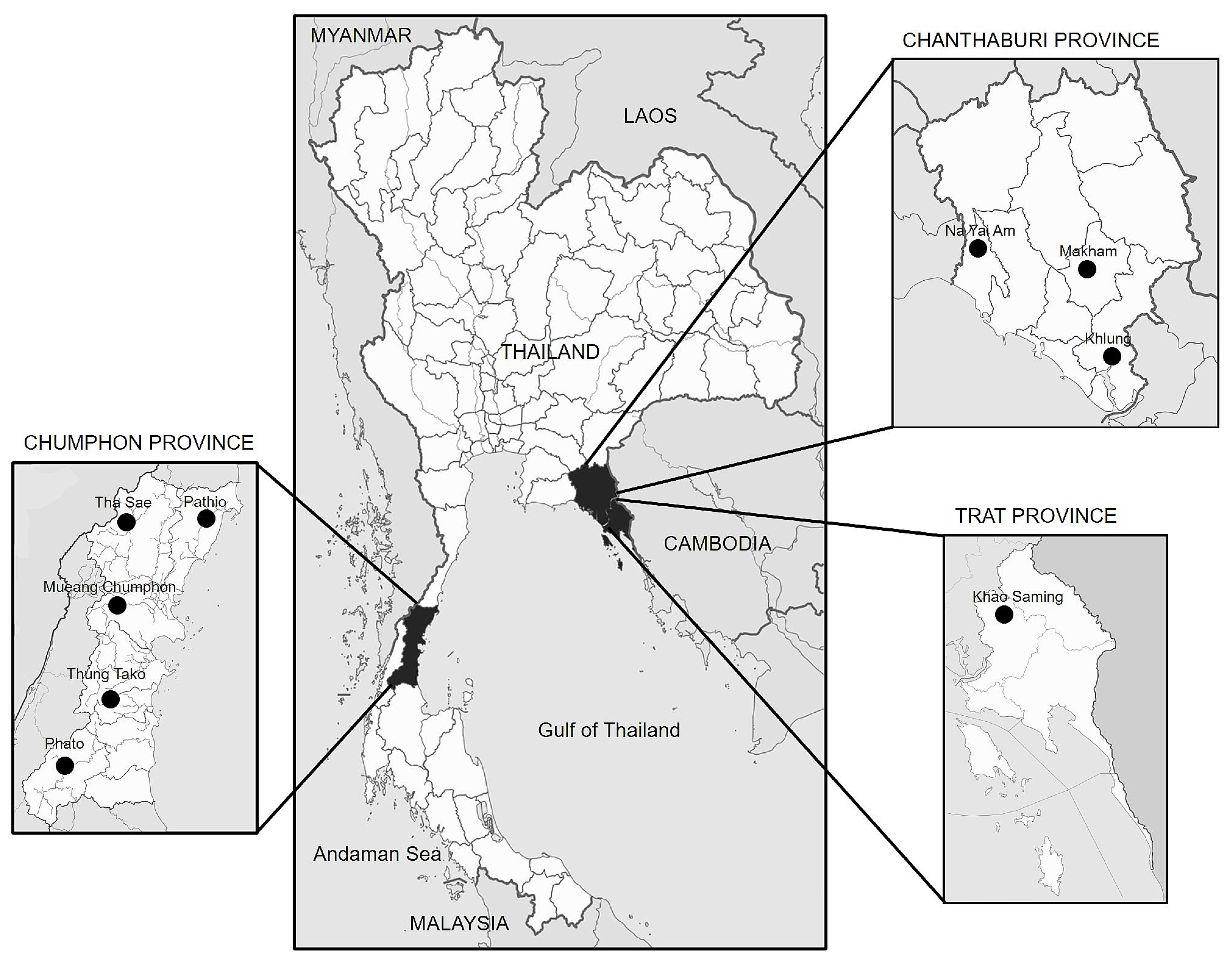 Plants 12 03045 g001