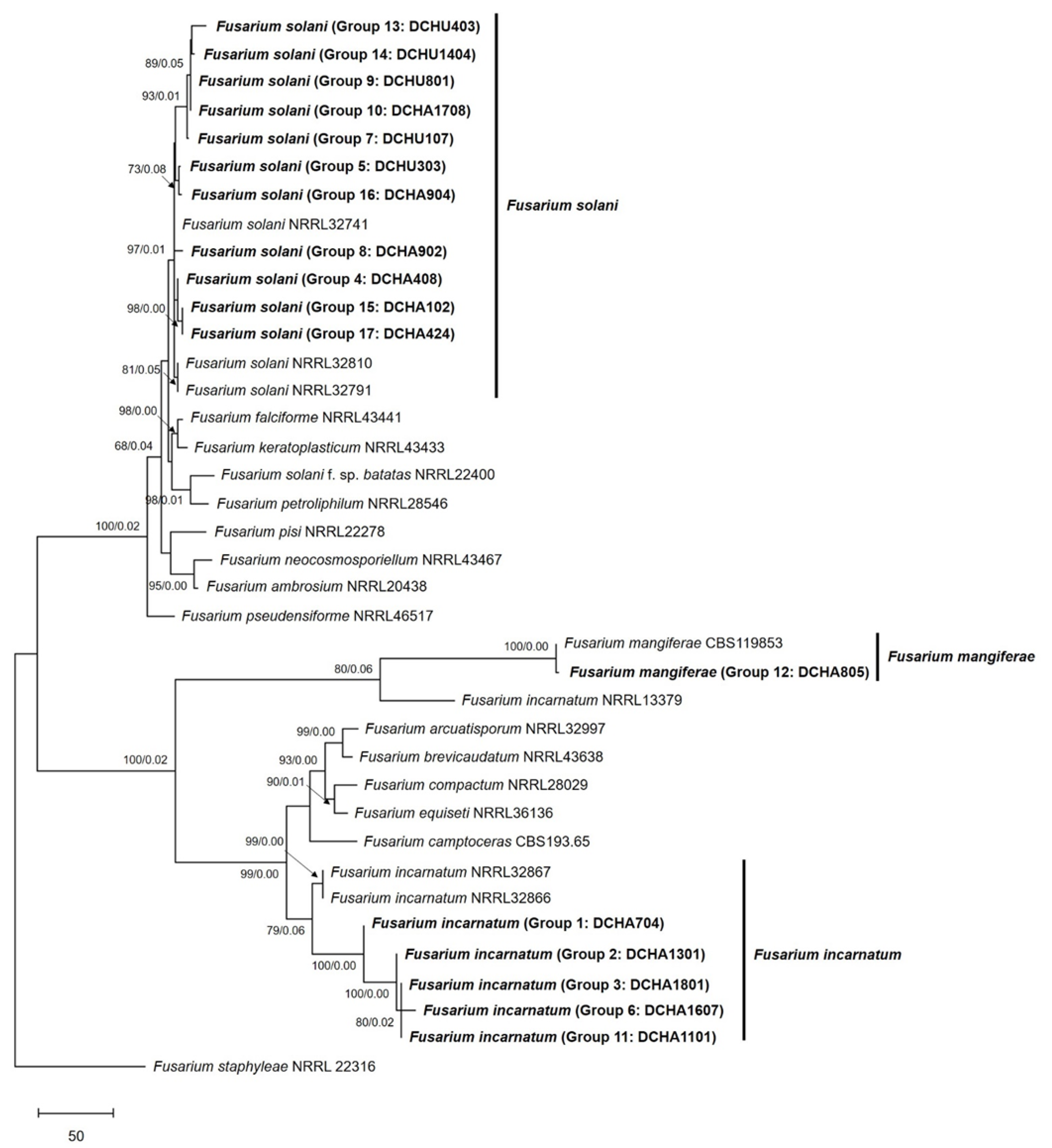 Plants 12 03045 g004