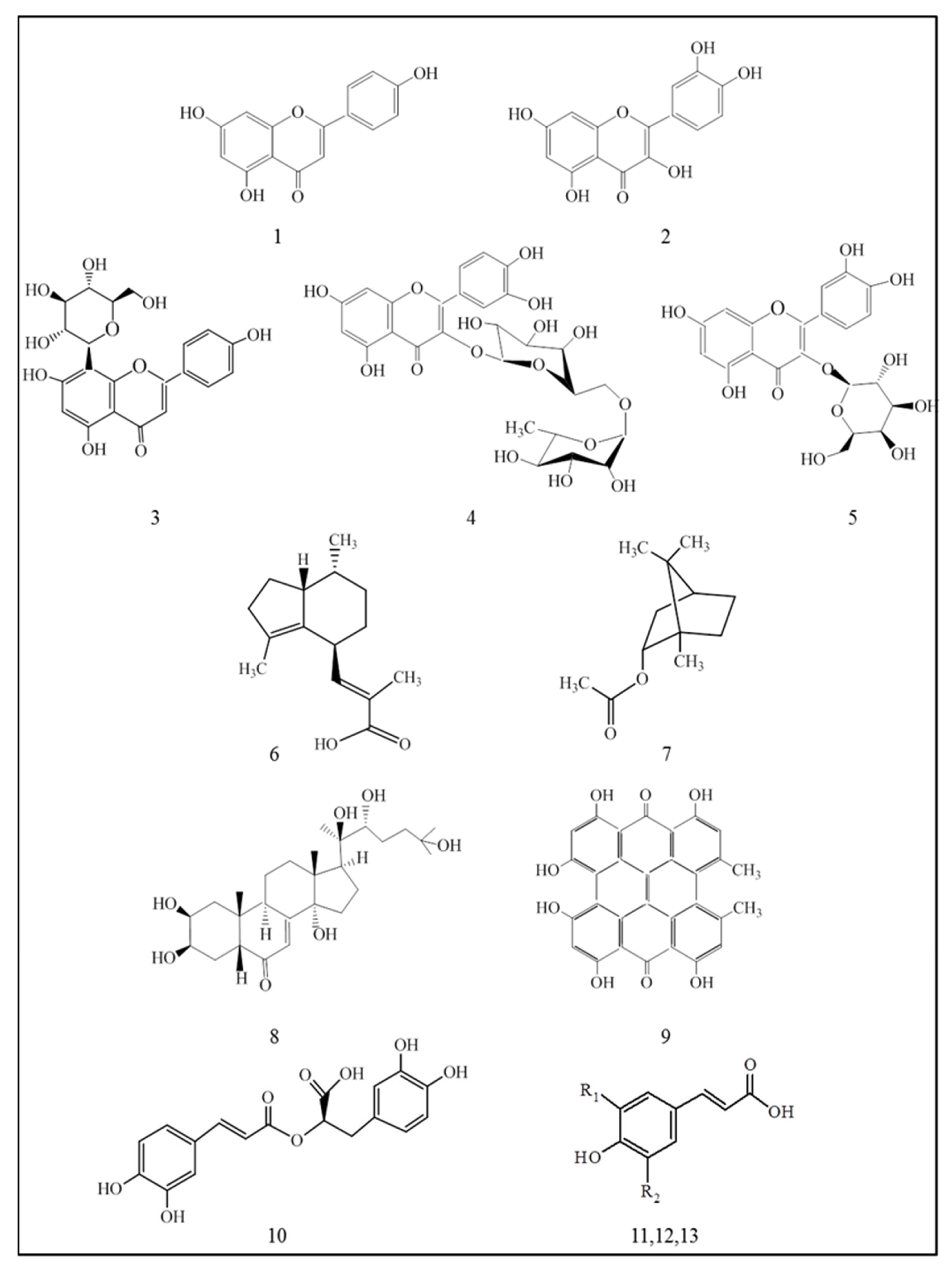 Plants 12 03049 g001 Plants 12 03049 g001