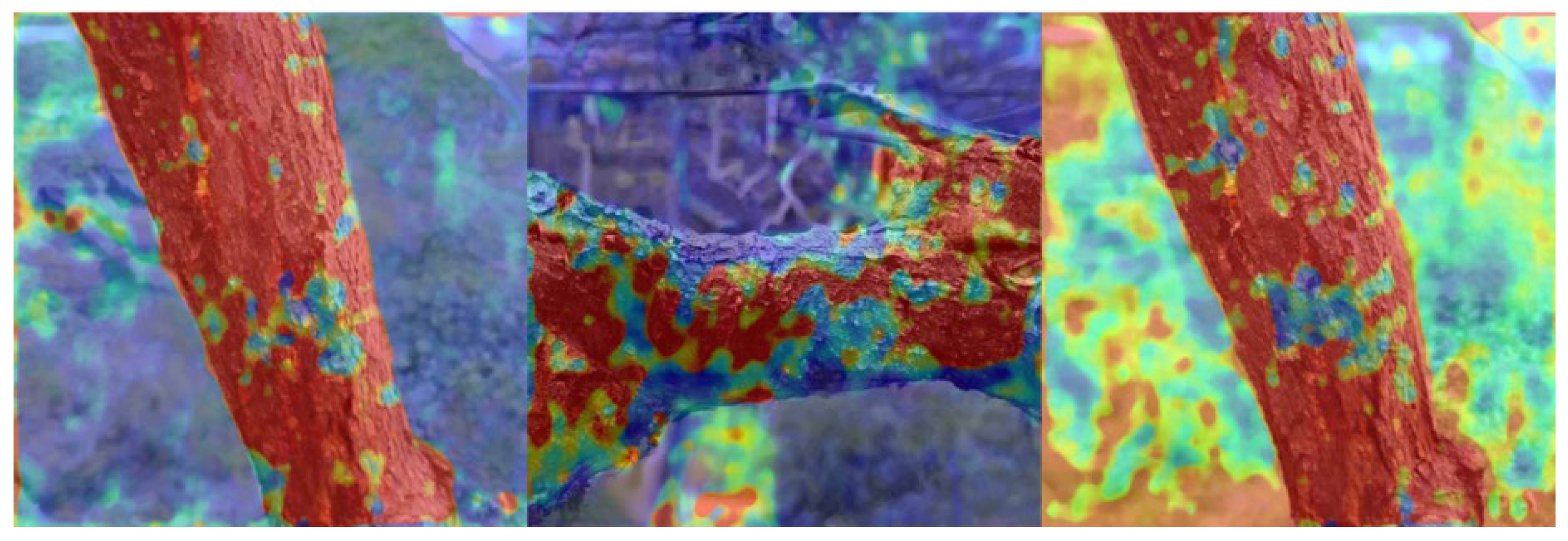 Plants 12 03053 g002