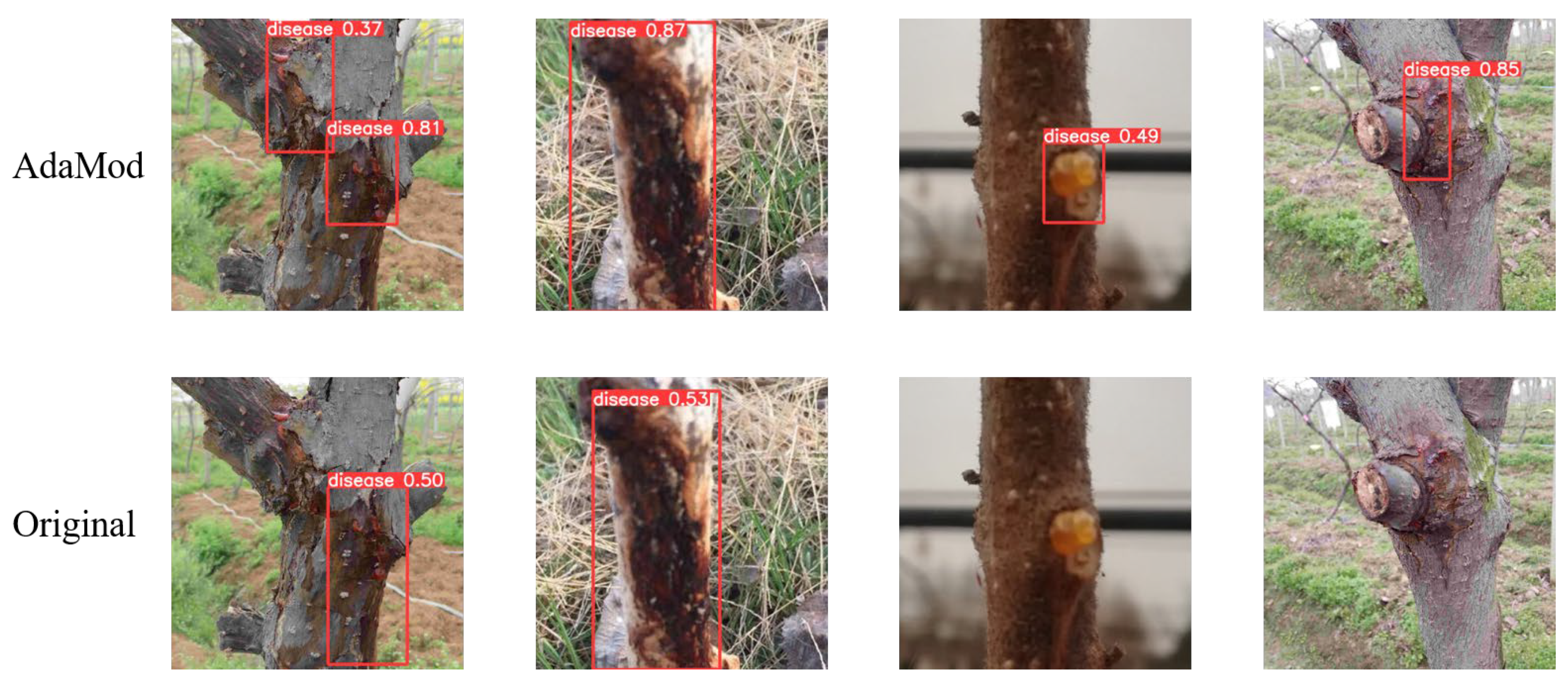 Plants 12 03053 g004