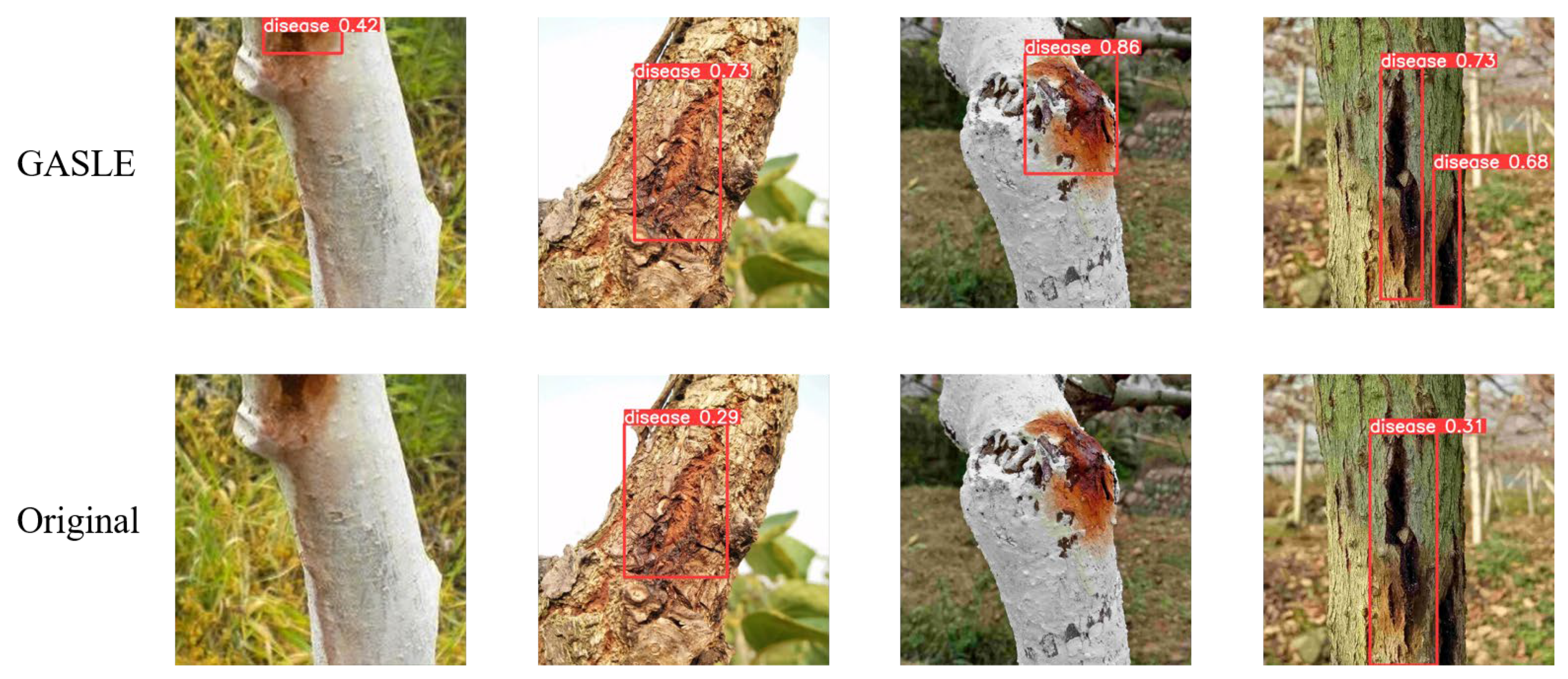 Plants 12 03053 g005