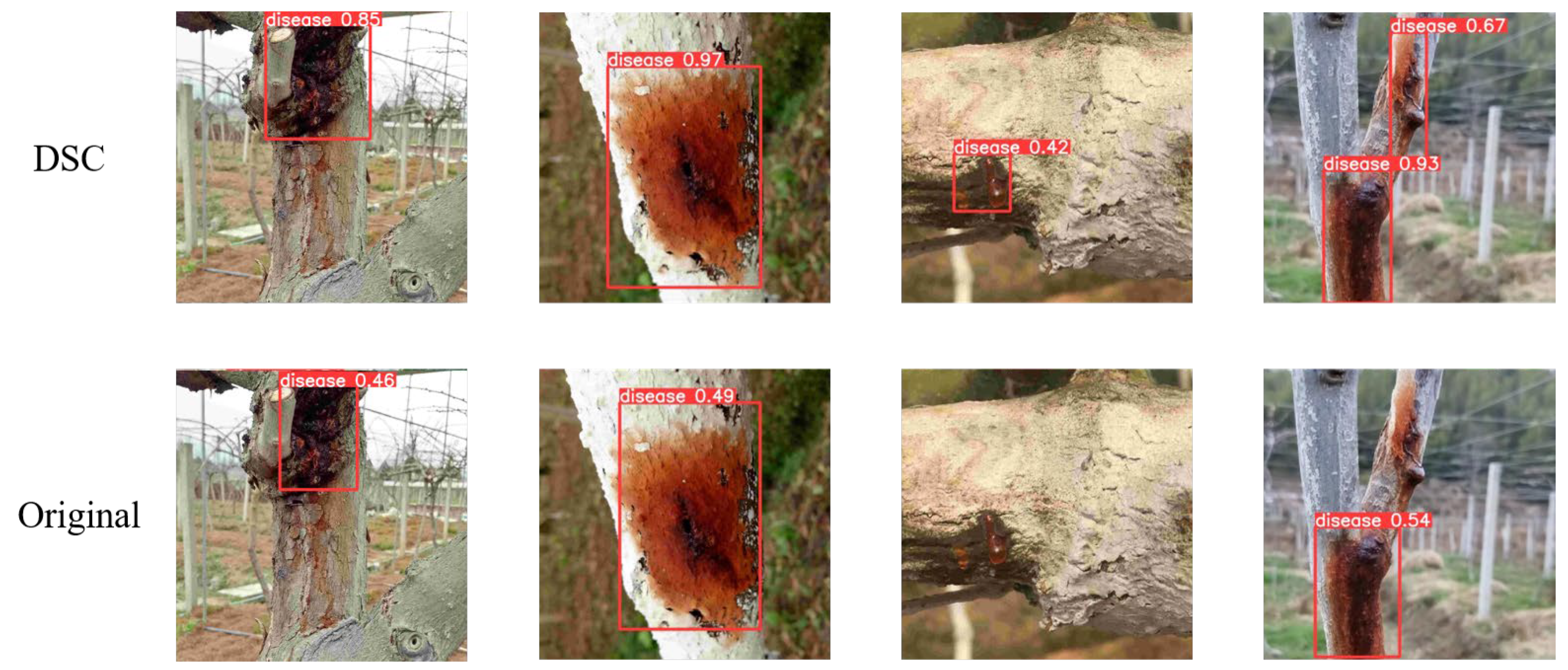 Plants 12 03053 g006