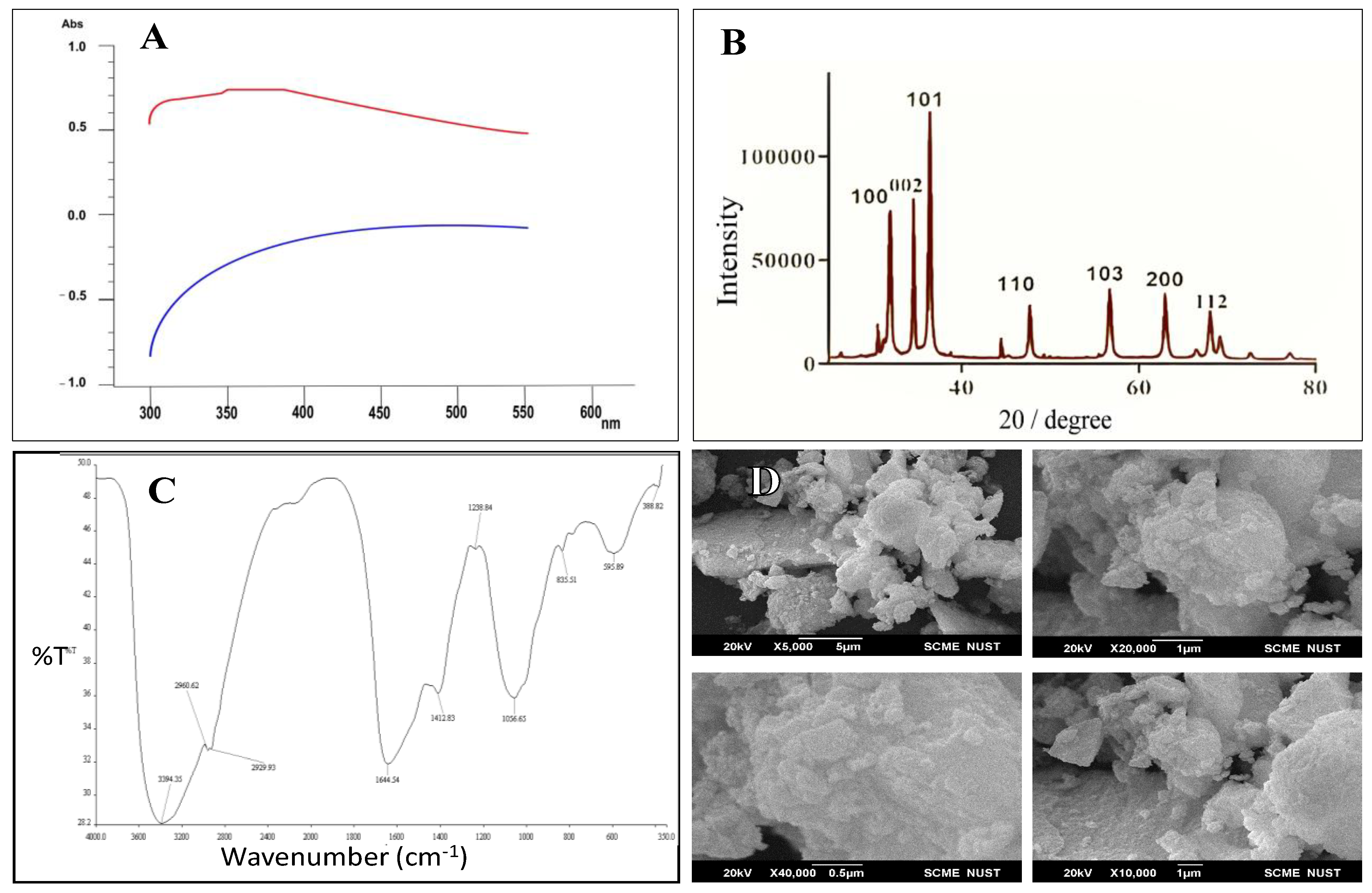 Plants 12 03058 g001