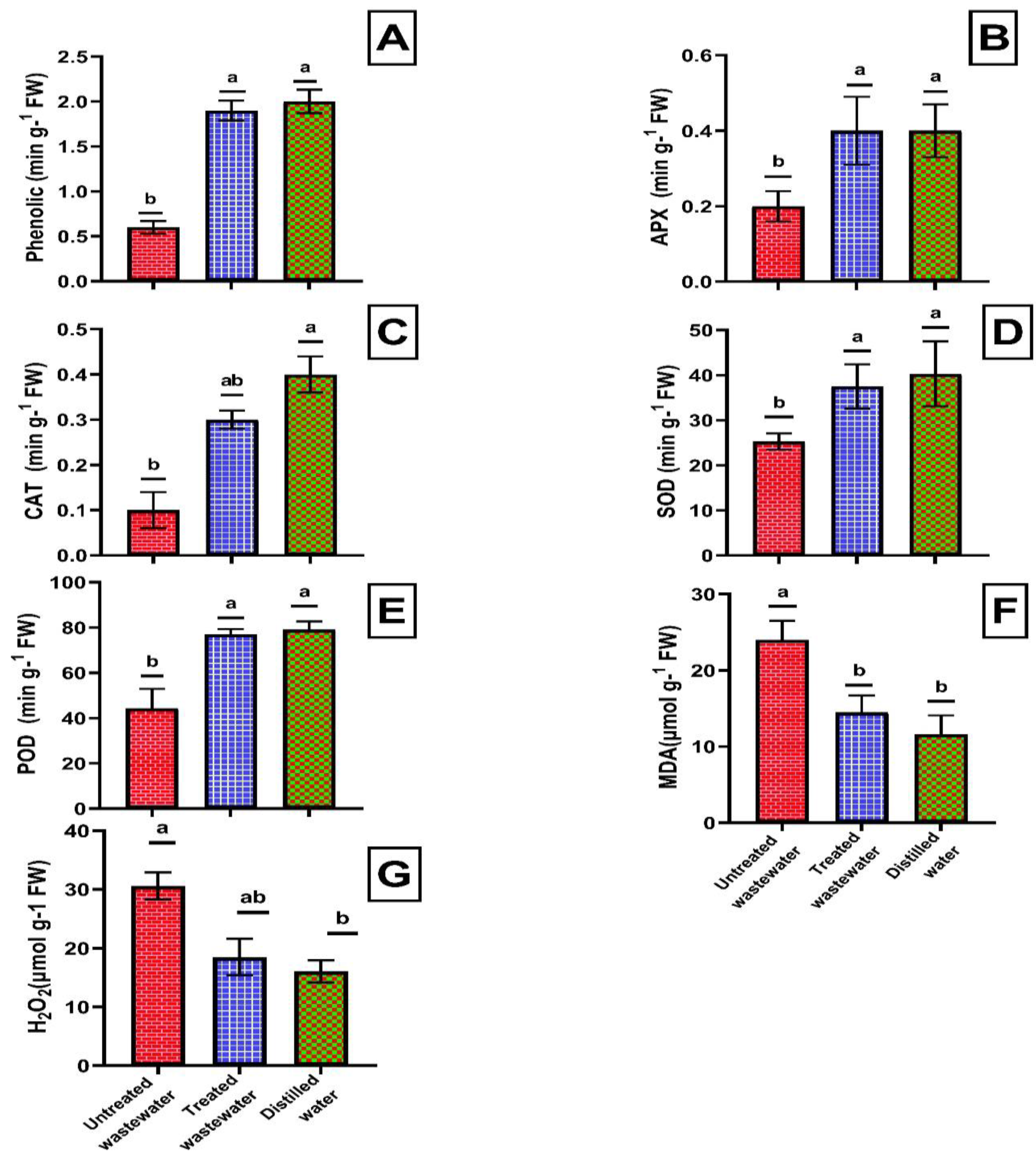 Plants 12 03058 g004