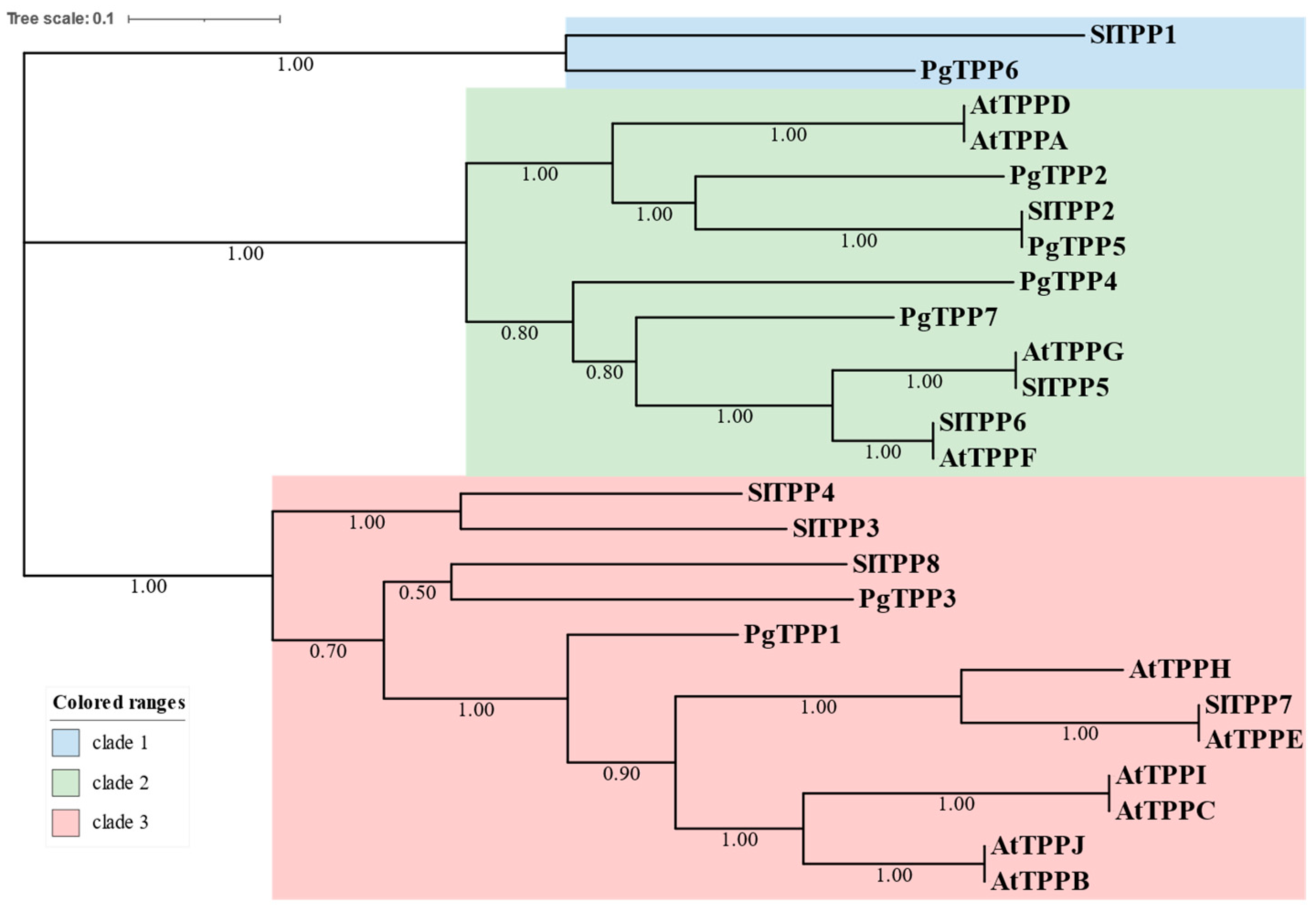 Plants 12 03076 g001