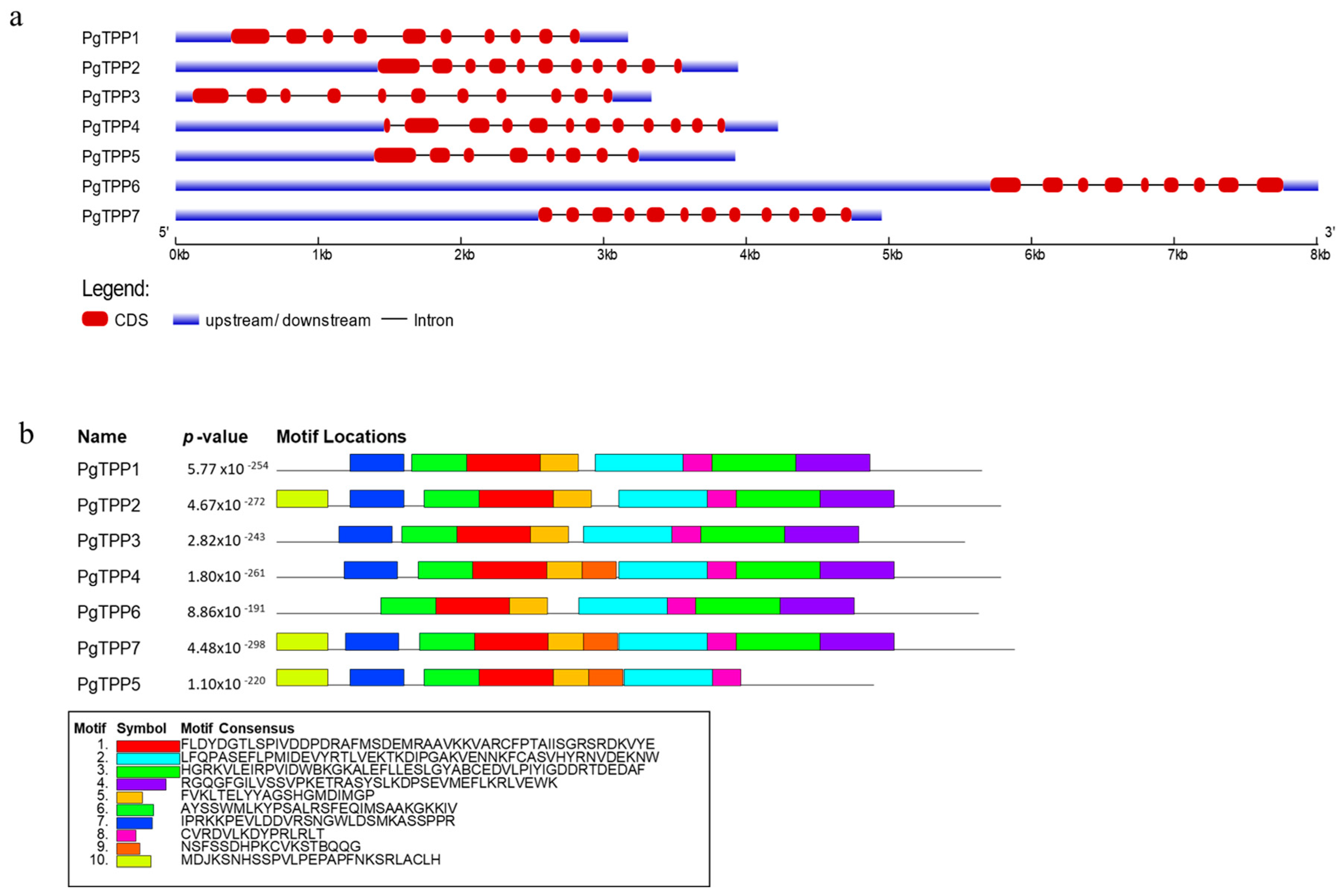 Plants 12 03076 g002