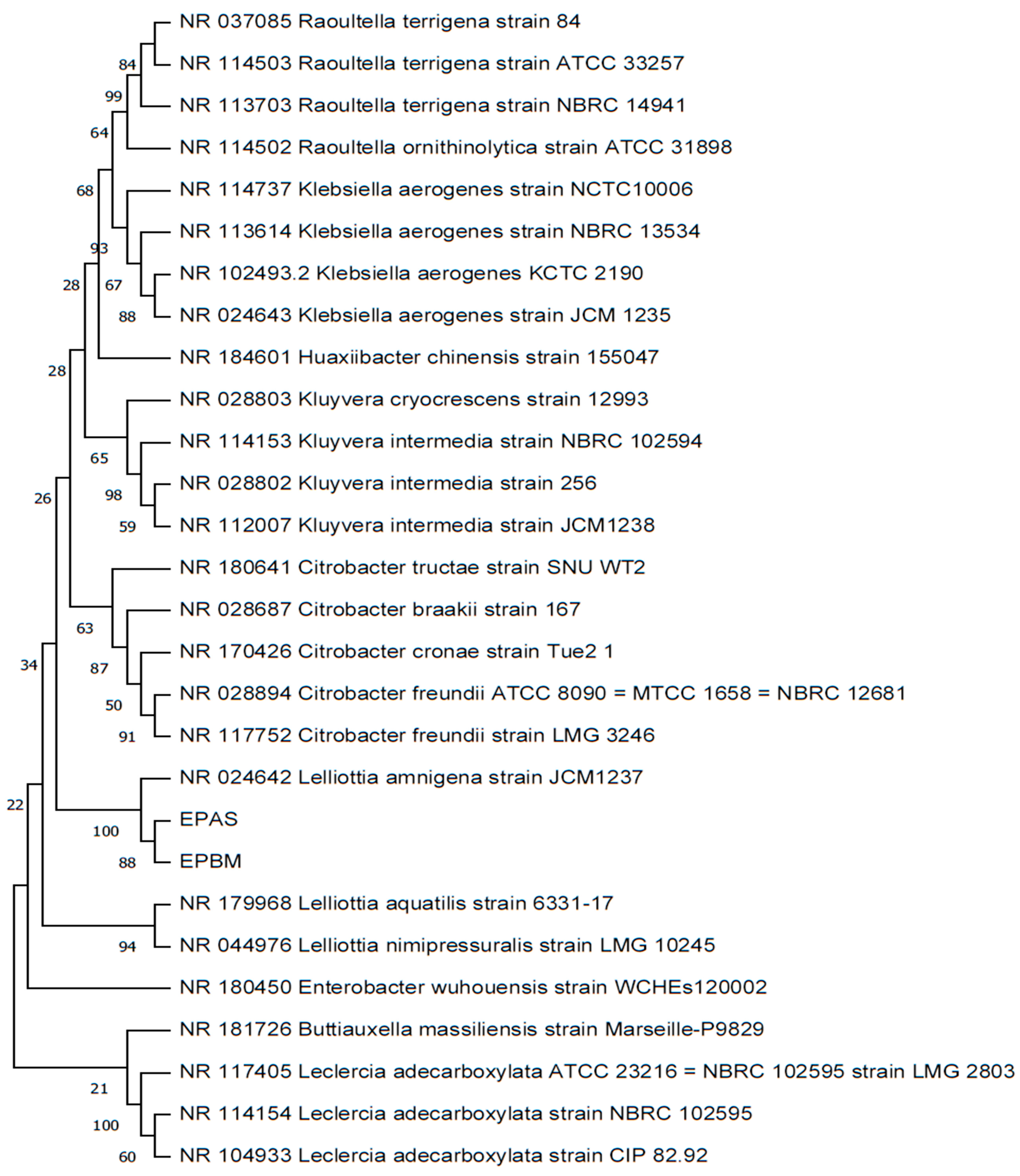 Plants 12 03081 g003
