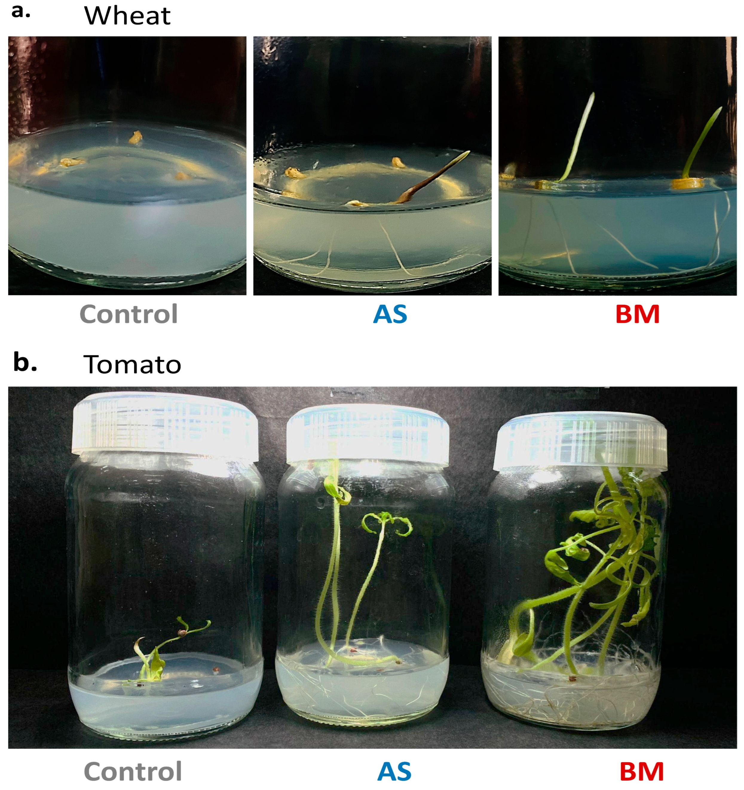 Plants 12 03081 g004