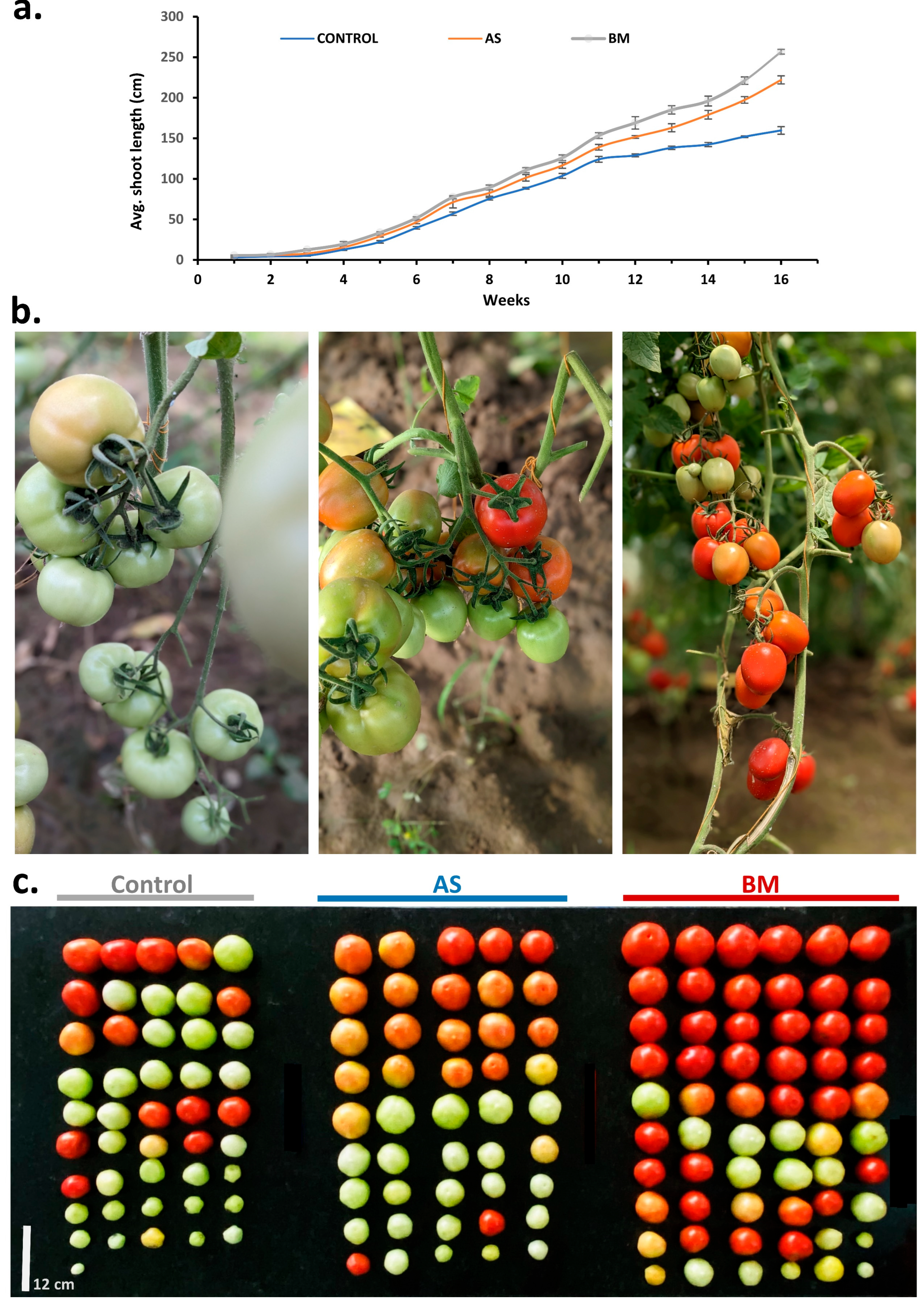 Plants 12 03081 g014