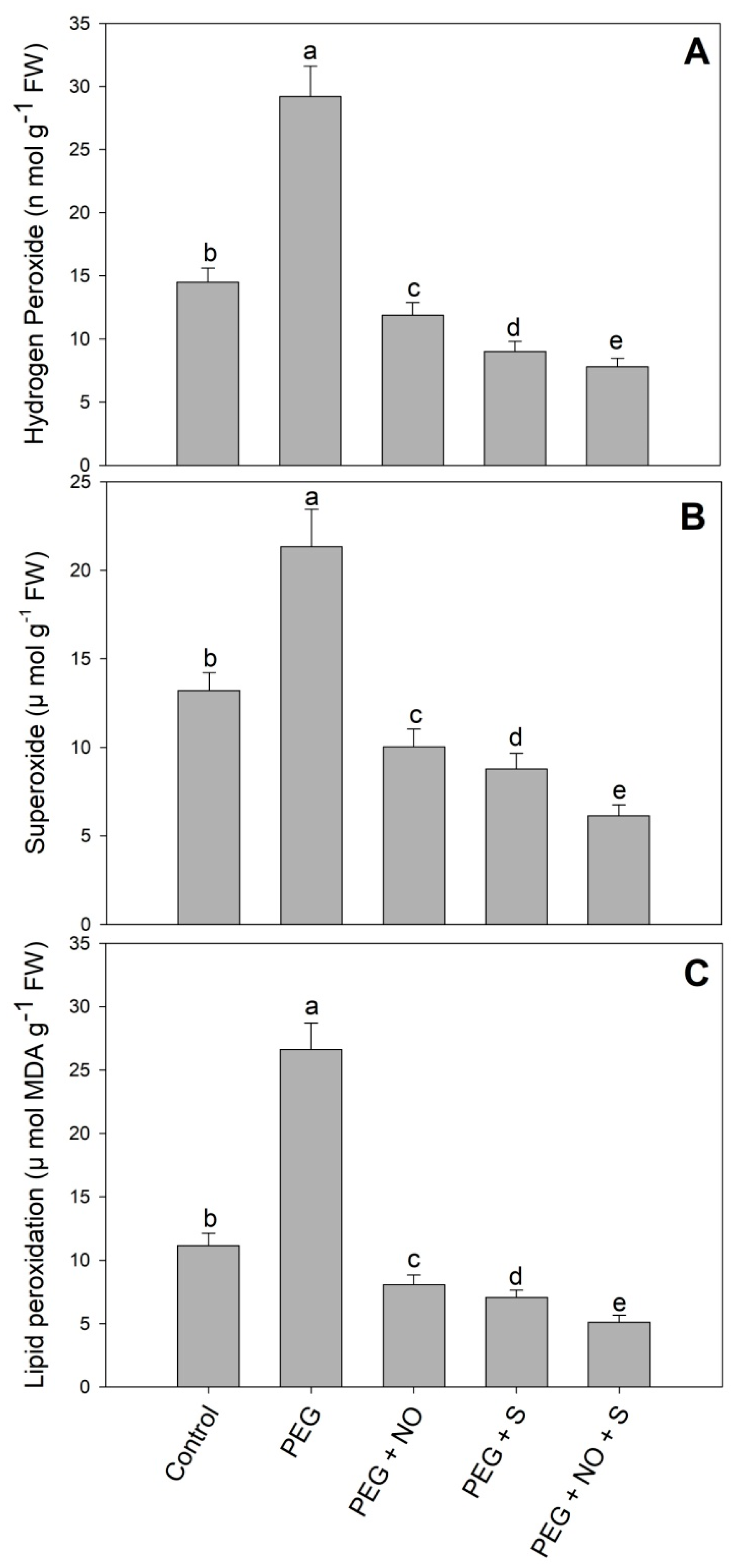 Plants 12 03082 g003