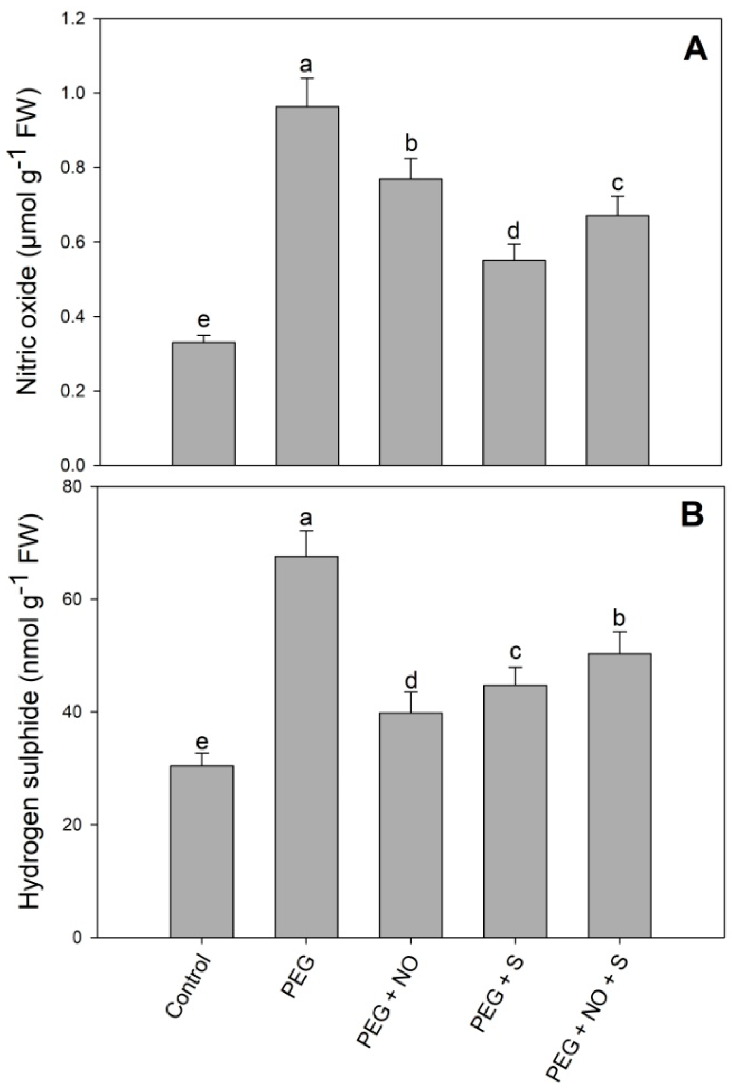 Plants 12 03082 g008