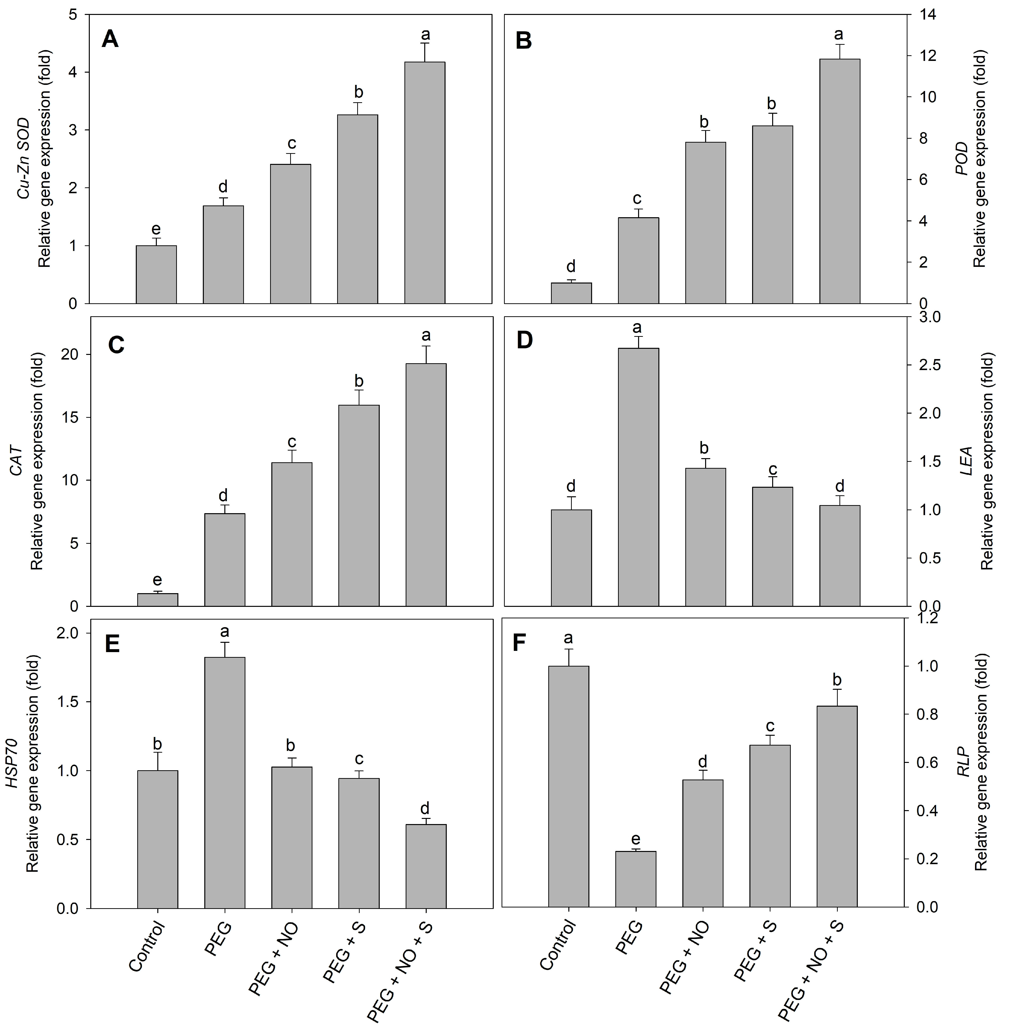 Plants 12 03082 g011