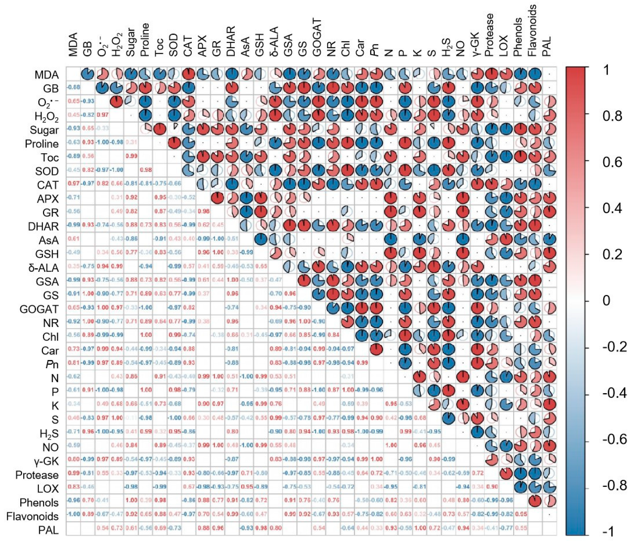 Plants 12 03082 g012