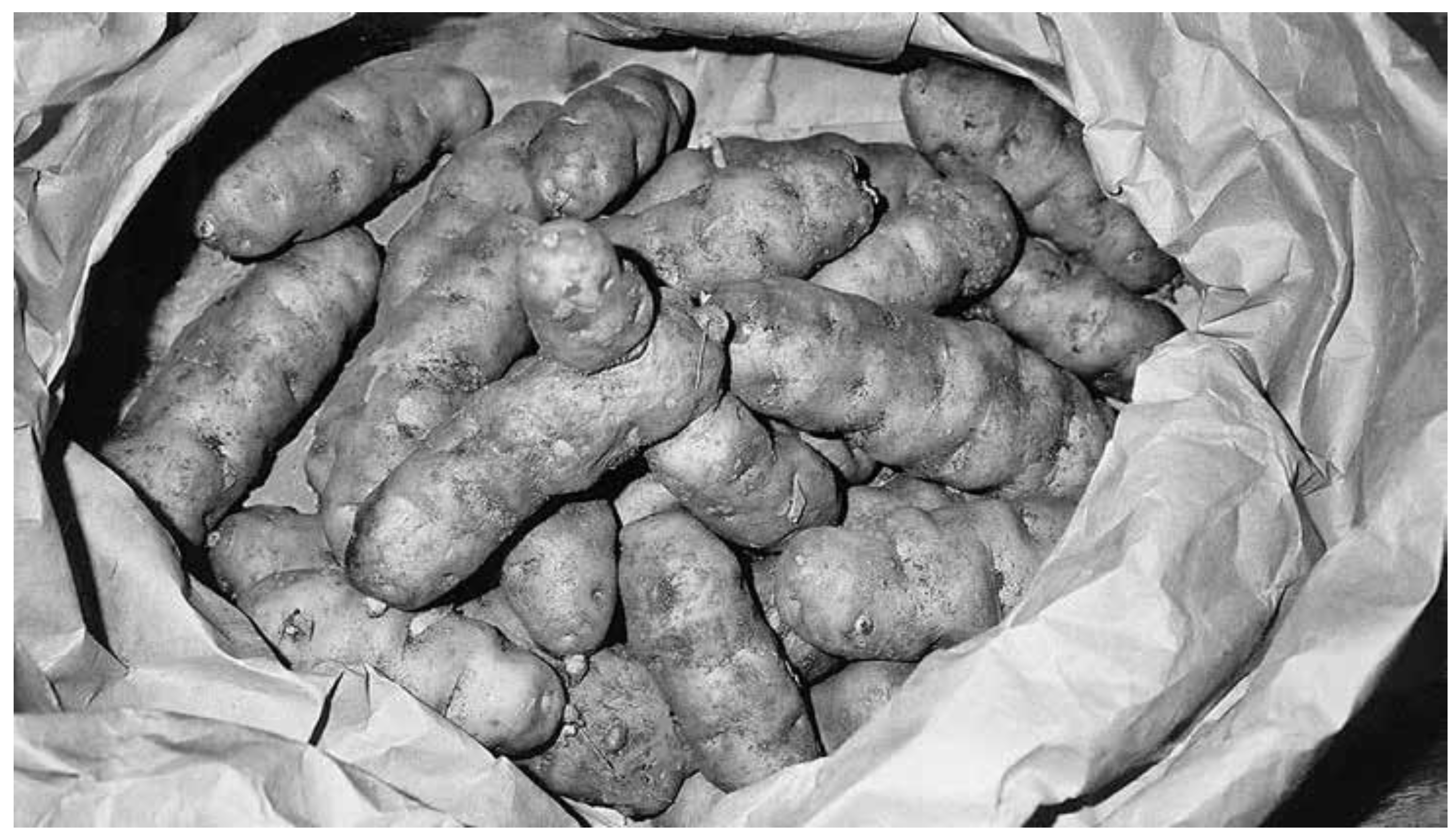 Plants 12 03087 g005