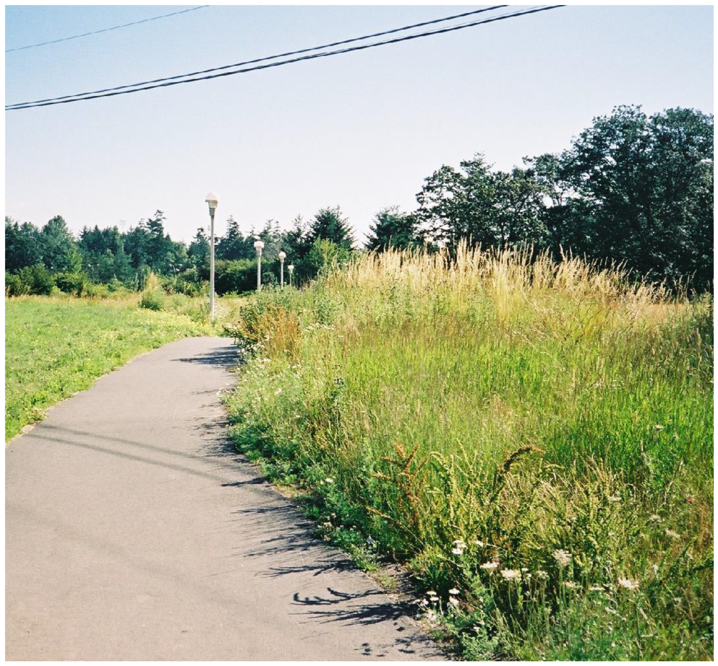 Plants 12 03087 g009