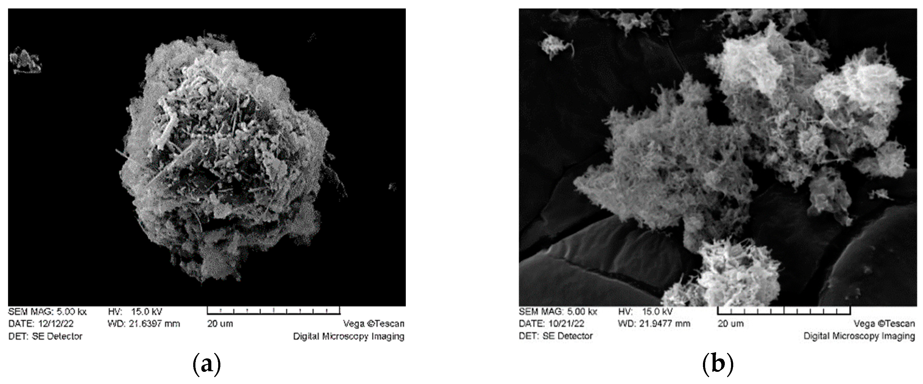 Plants 12 03088 g002