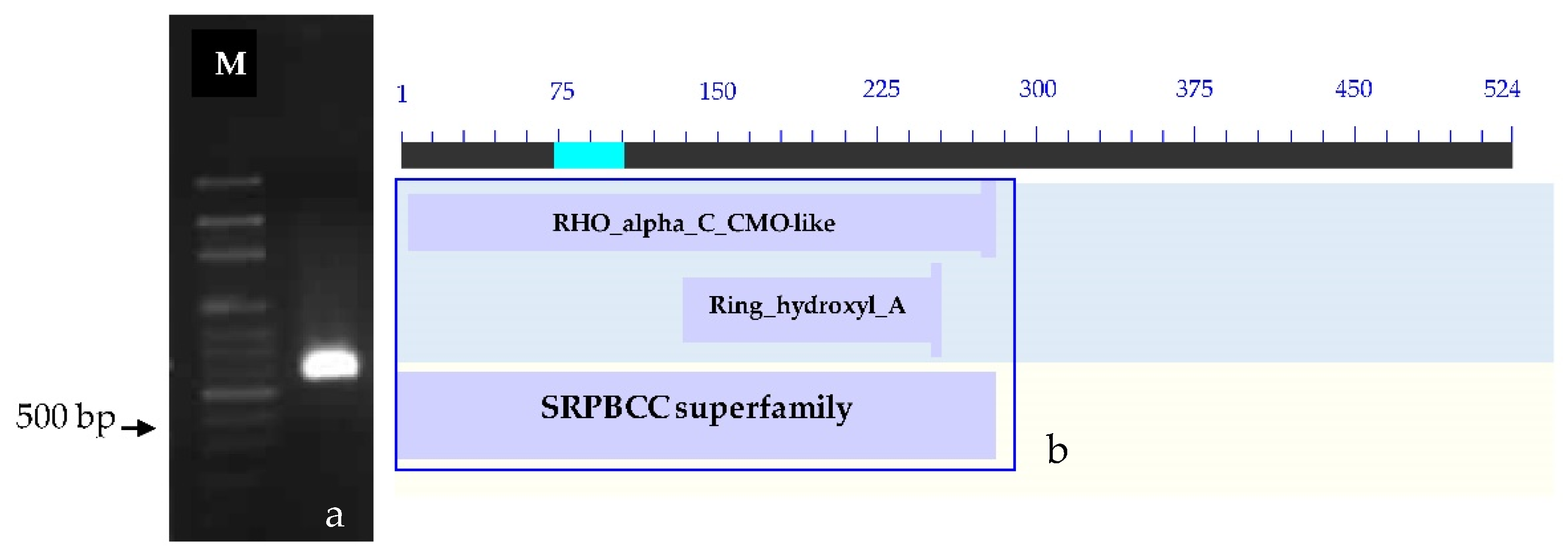 Plants 12 03089 g003