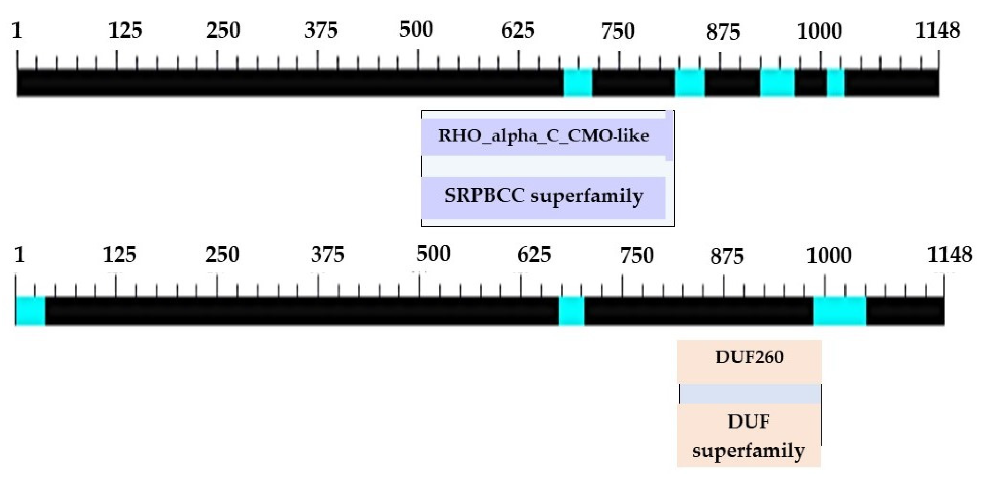 Plants 12 03089 g005