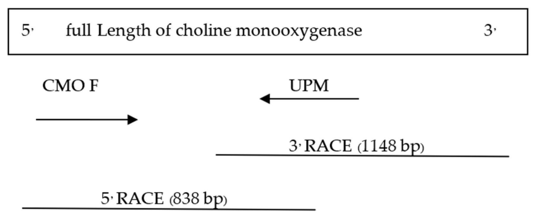 Plants 12 03089 g006