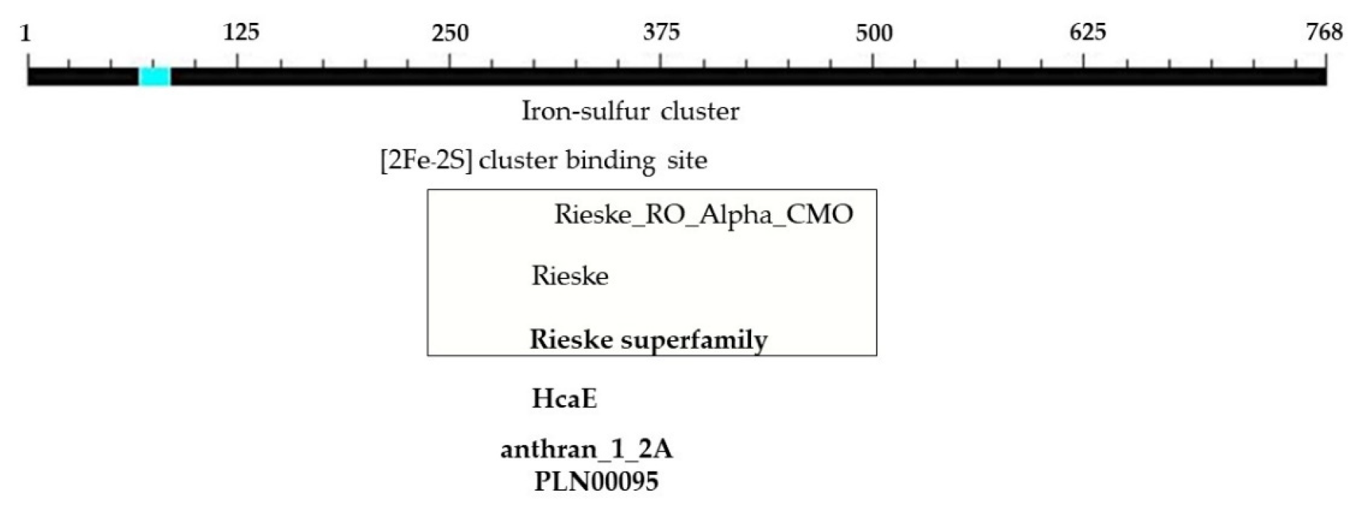 Plants 12 03089 g007