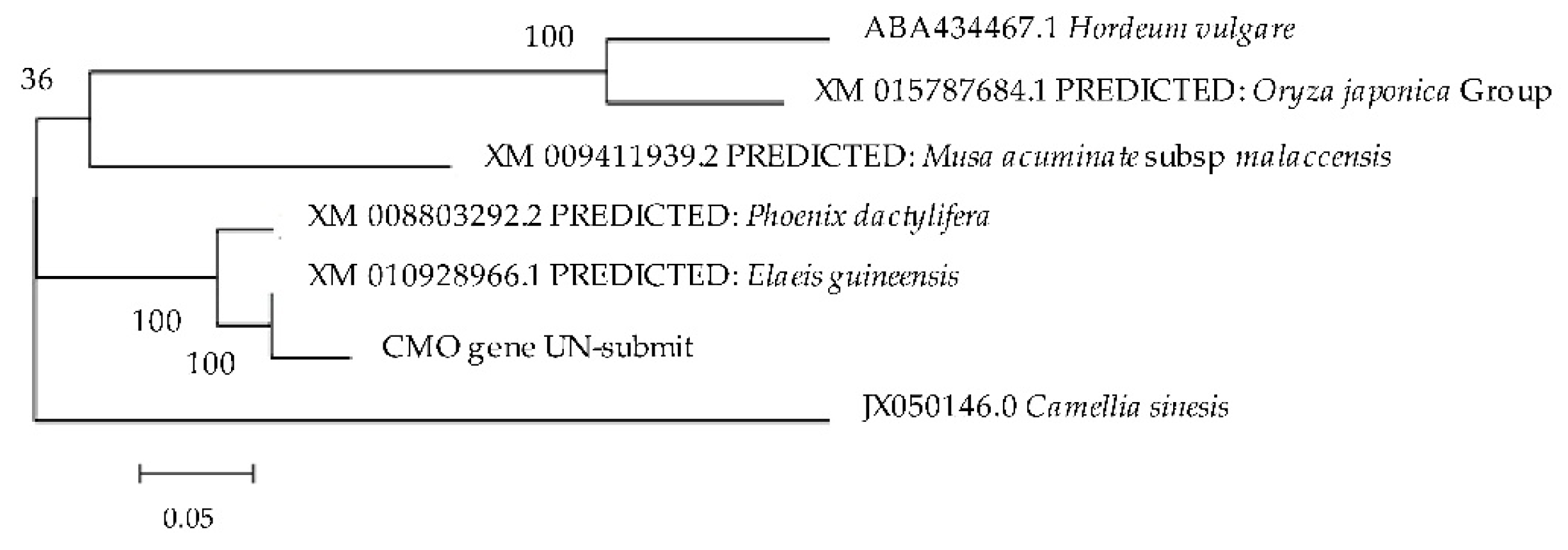 Plants 12 03089 g010