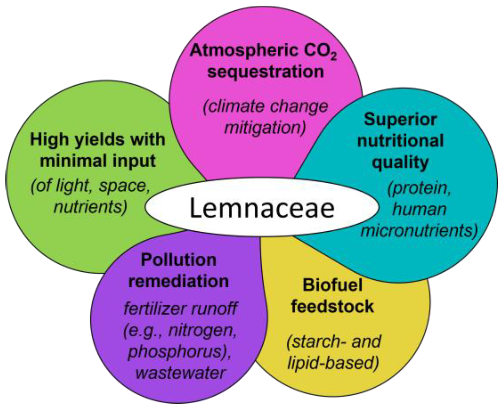 Plants 12 03090 g001