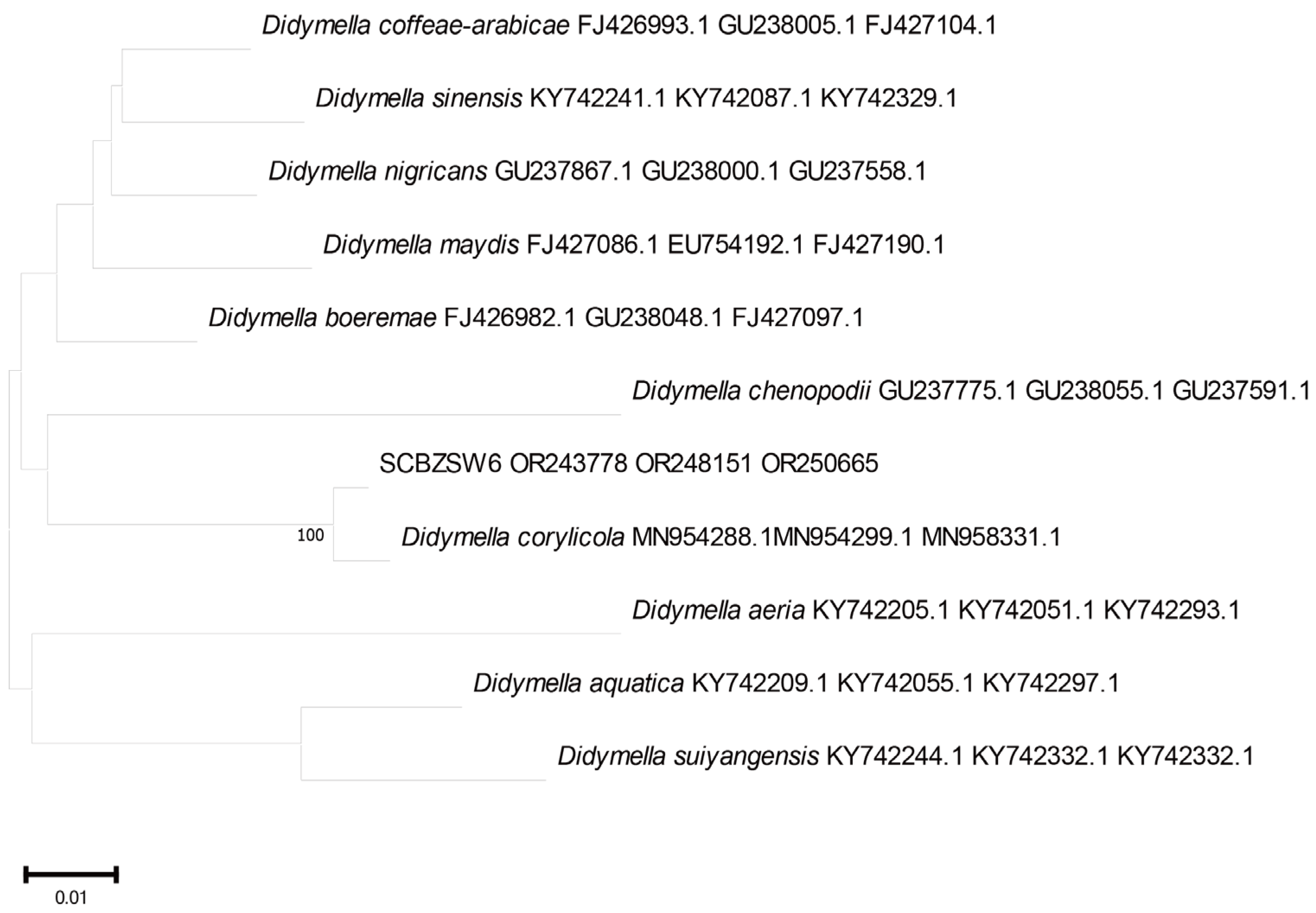 Plants 12 03091 g007