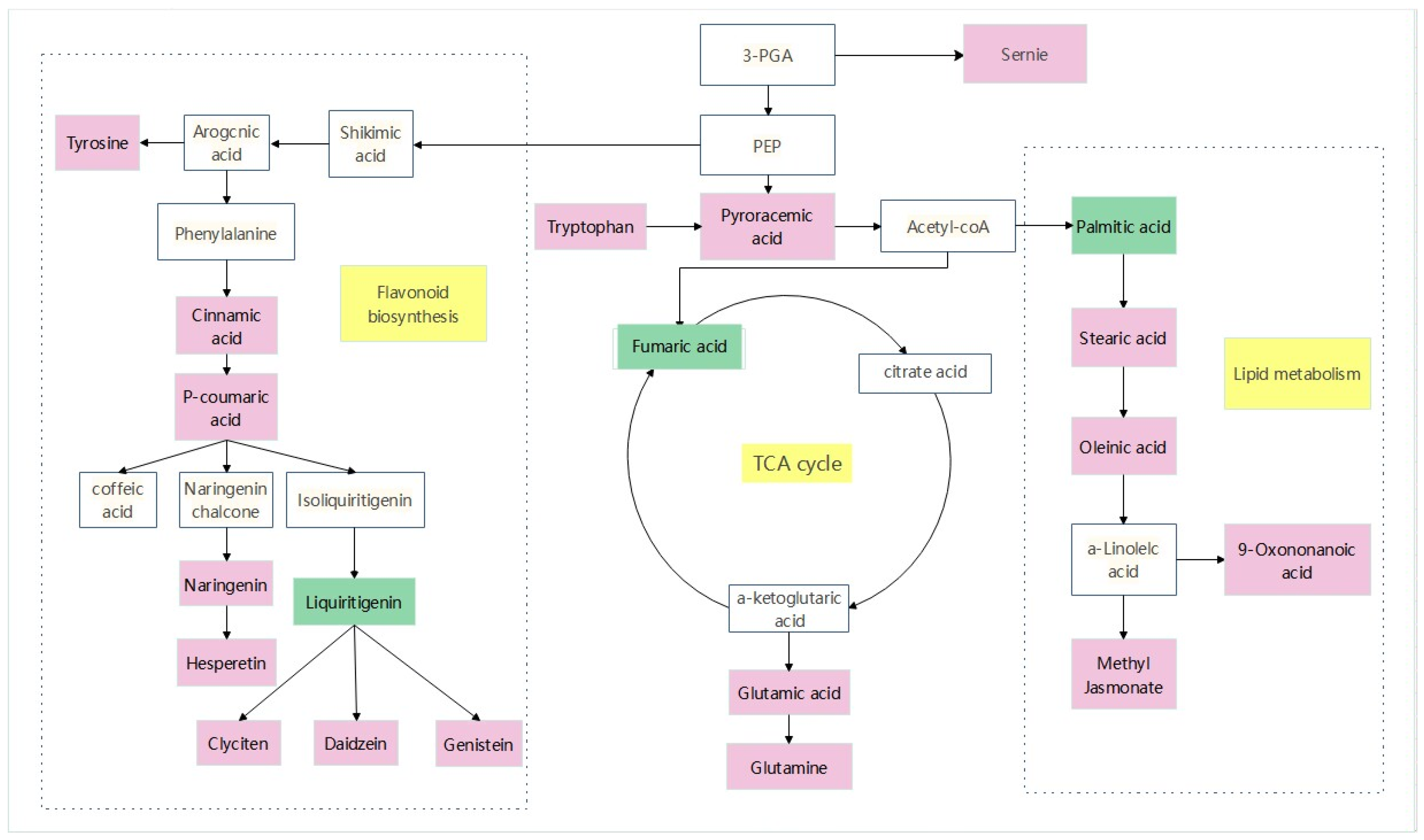 Plants 12 03091 g011