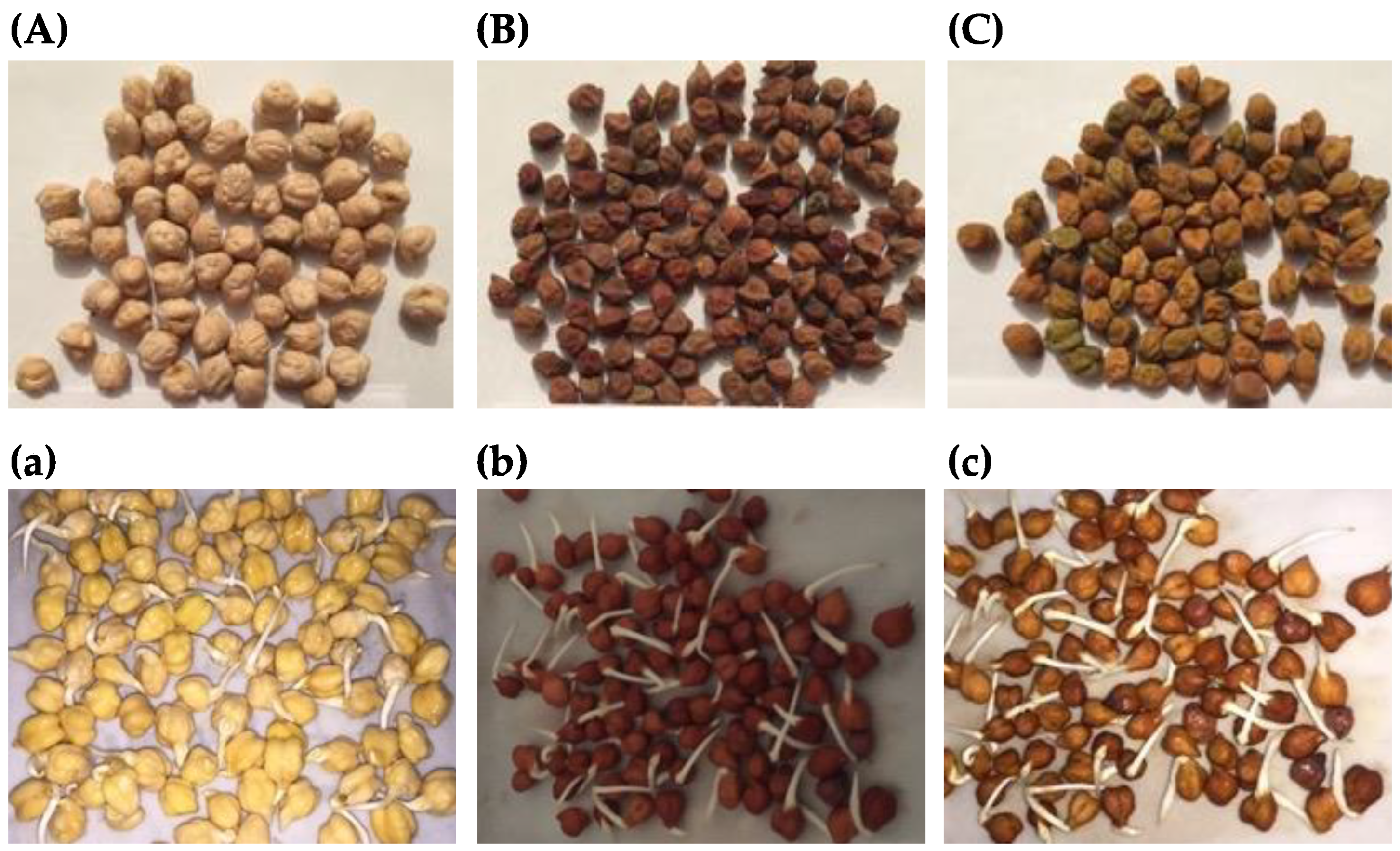 Plants 12 03093 g002