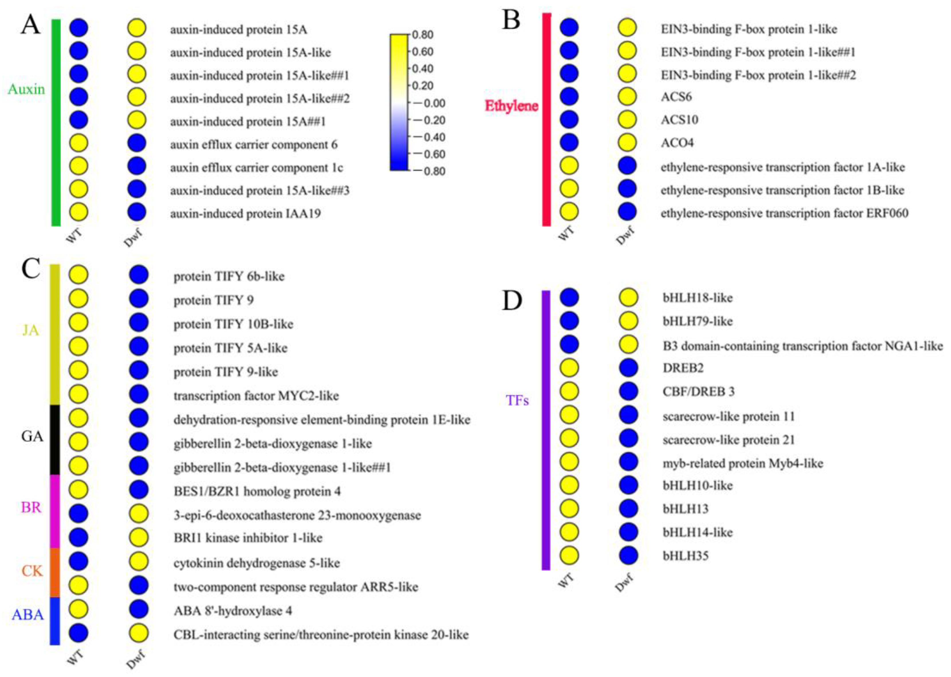 Plants 12 03097 g003