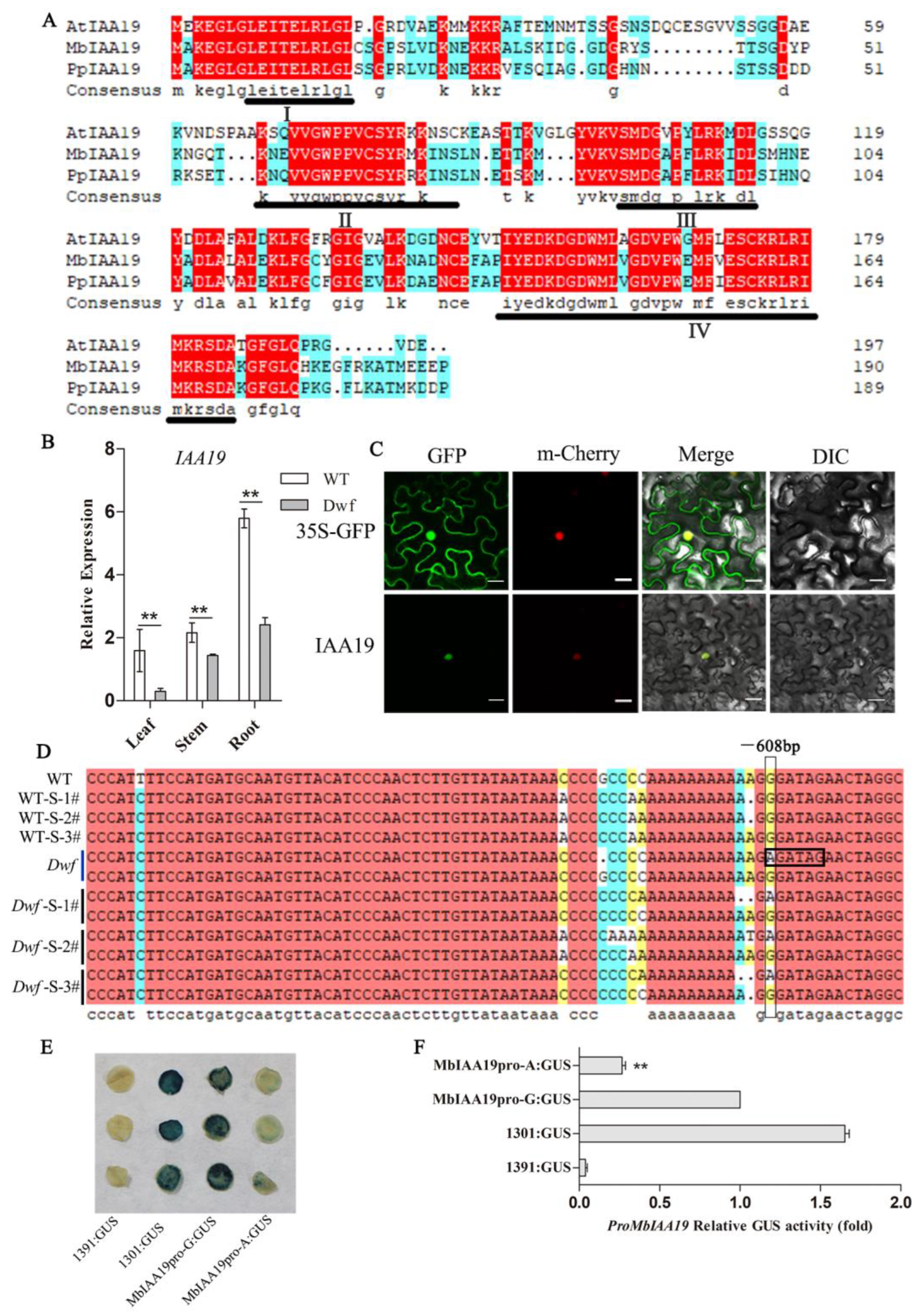 Plants 12 03097 g005