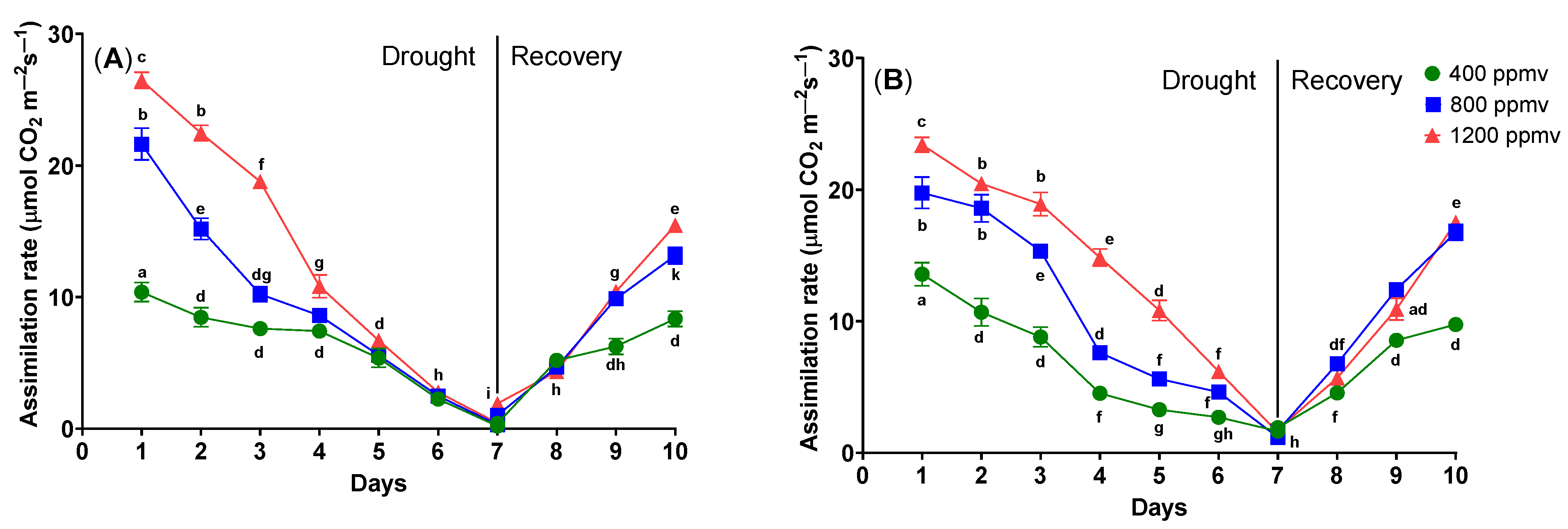 Plants 12 03098 g001 Plants 12 03098 g001