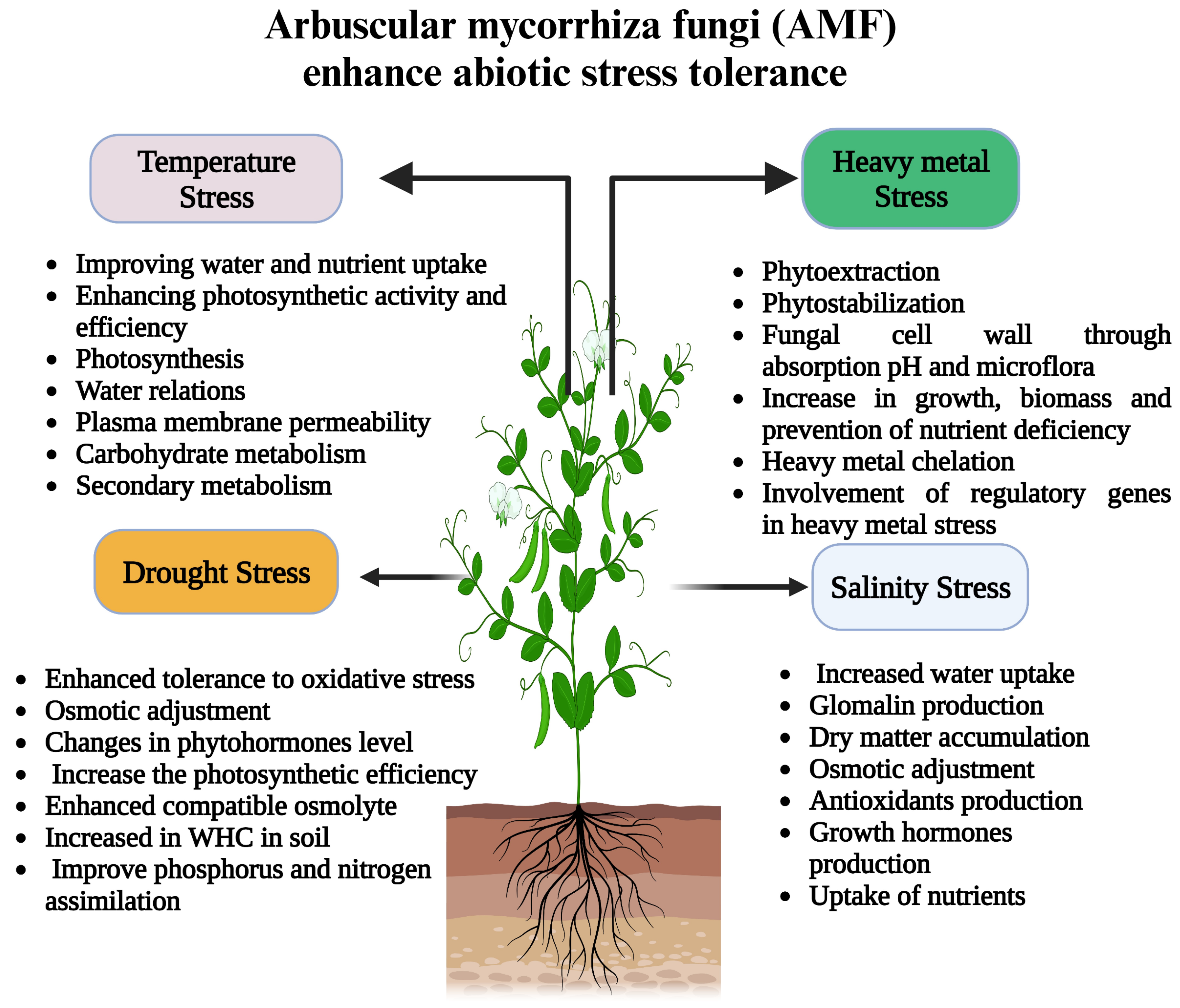 Plants 12 03102 g003