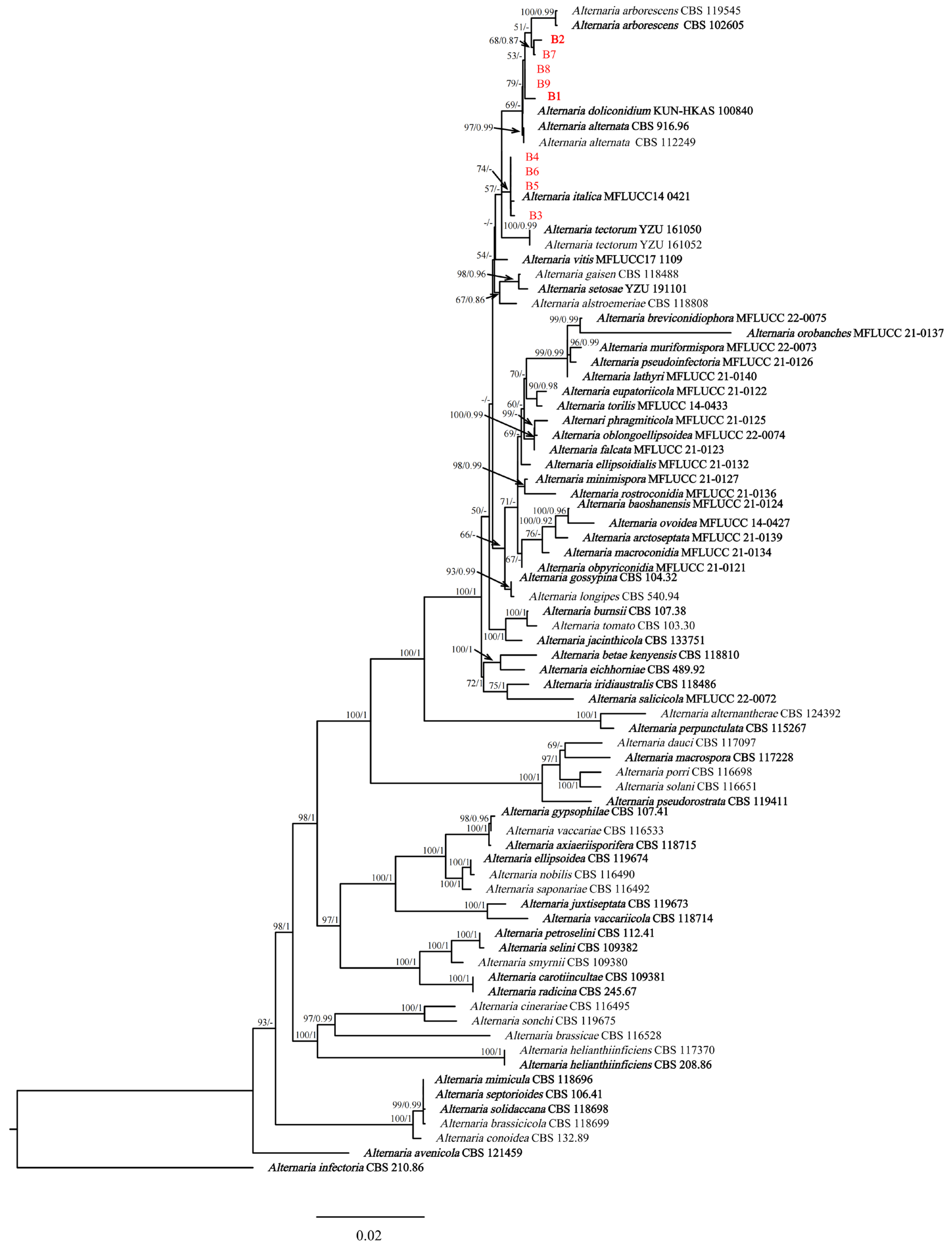 Plants 12 03113 g003