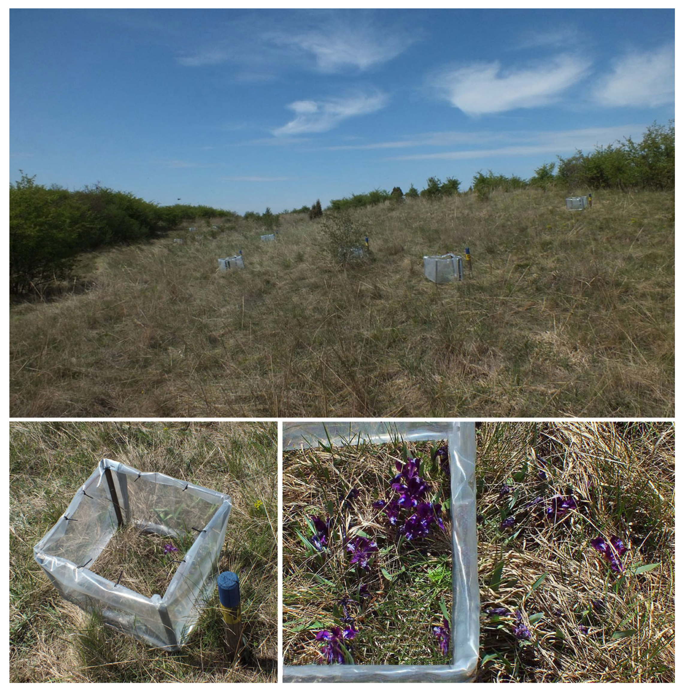 Plants 12 03114 g003