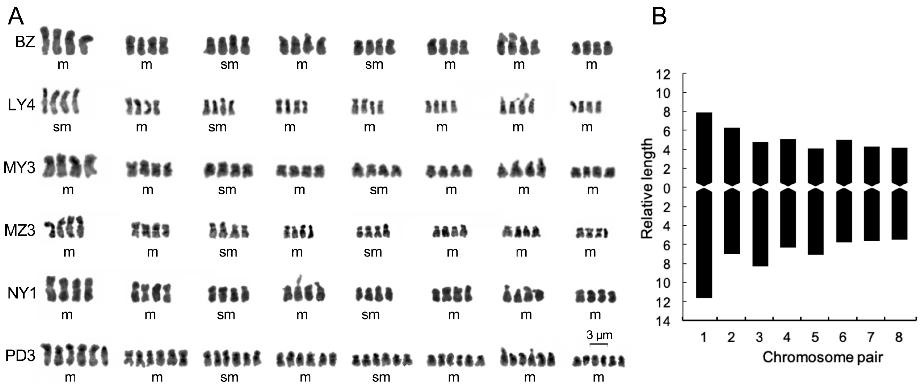 Plants 12 03116 g002 Plants 12 03116 g002