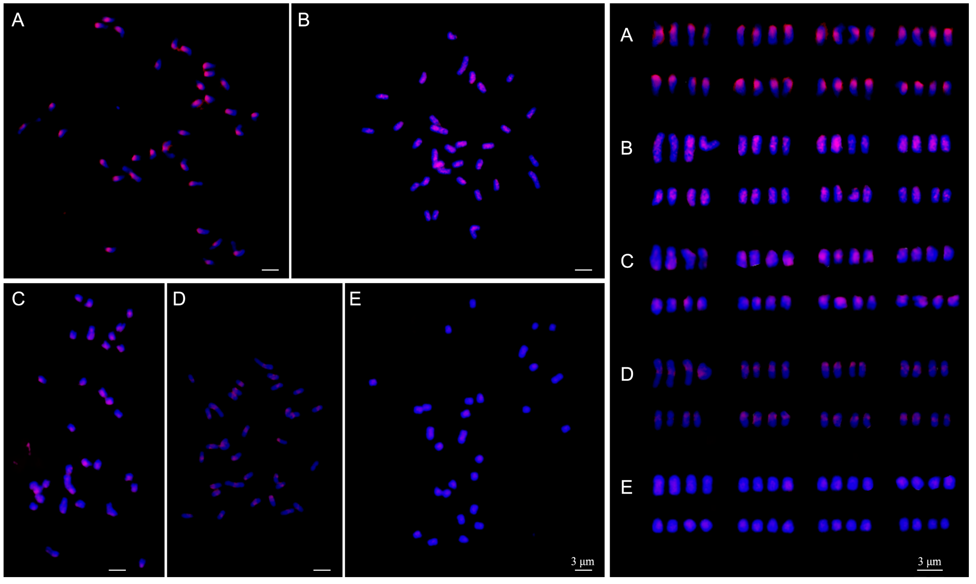 Plants 12 03116 g005 Plants 12 03116 g005