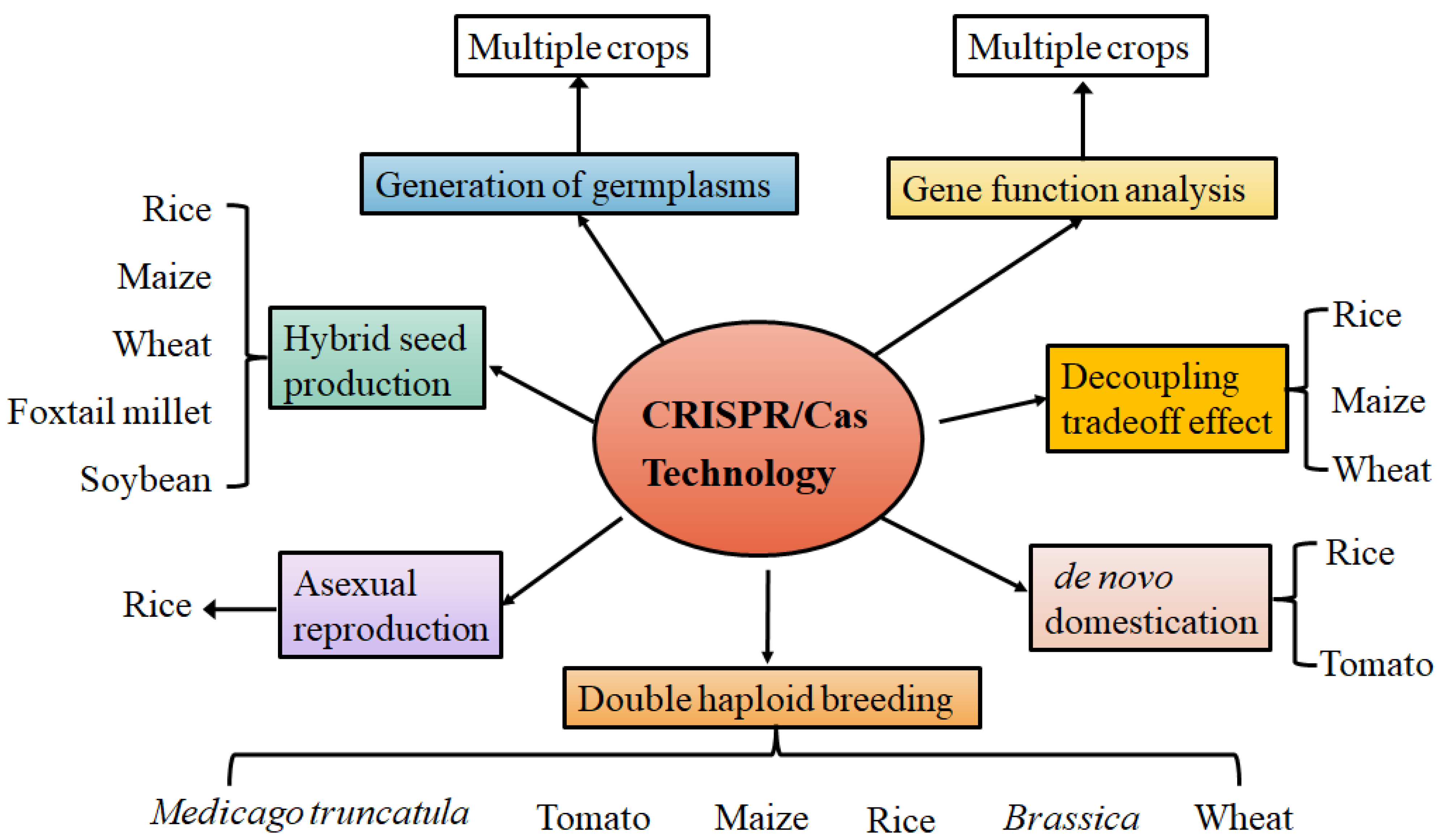 Plants 12 03119 g001