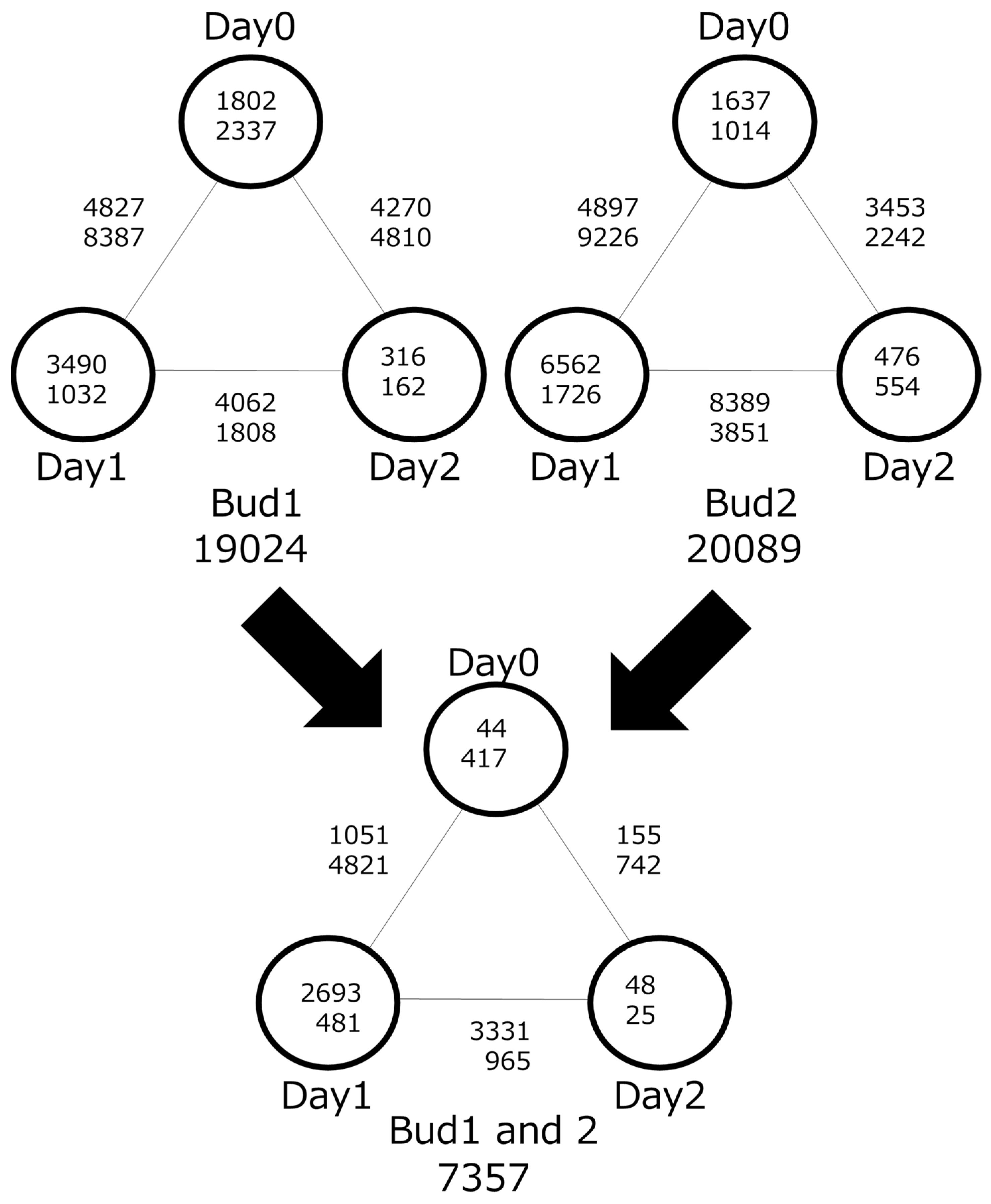 Plants 12 03122 g003 Plants 12 03122 g003