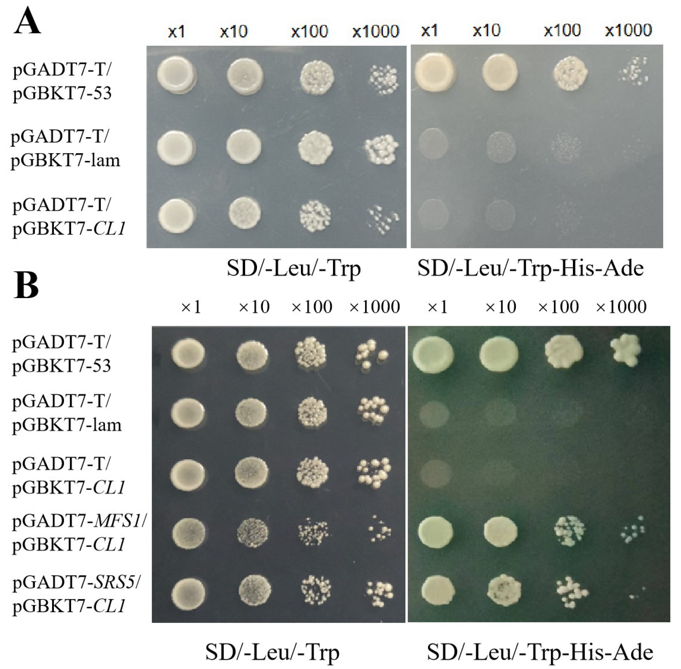 Plants 12 03127 g006