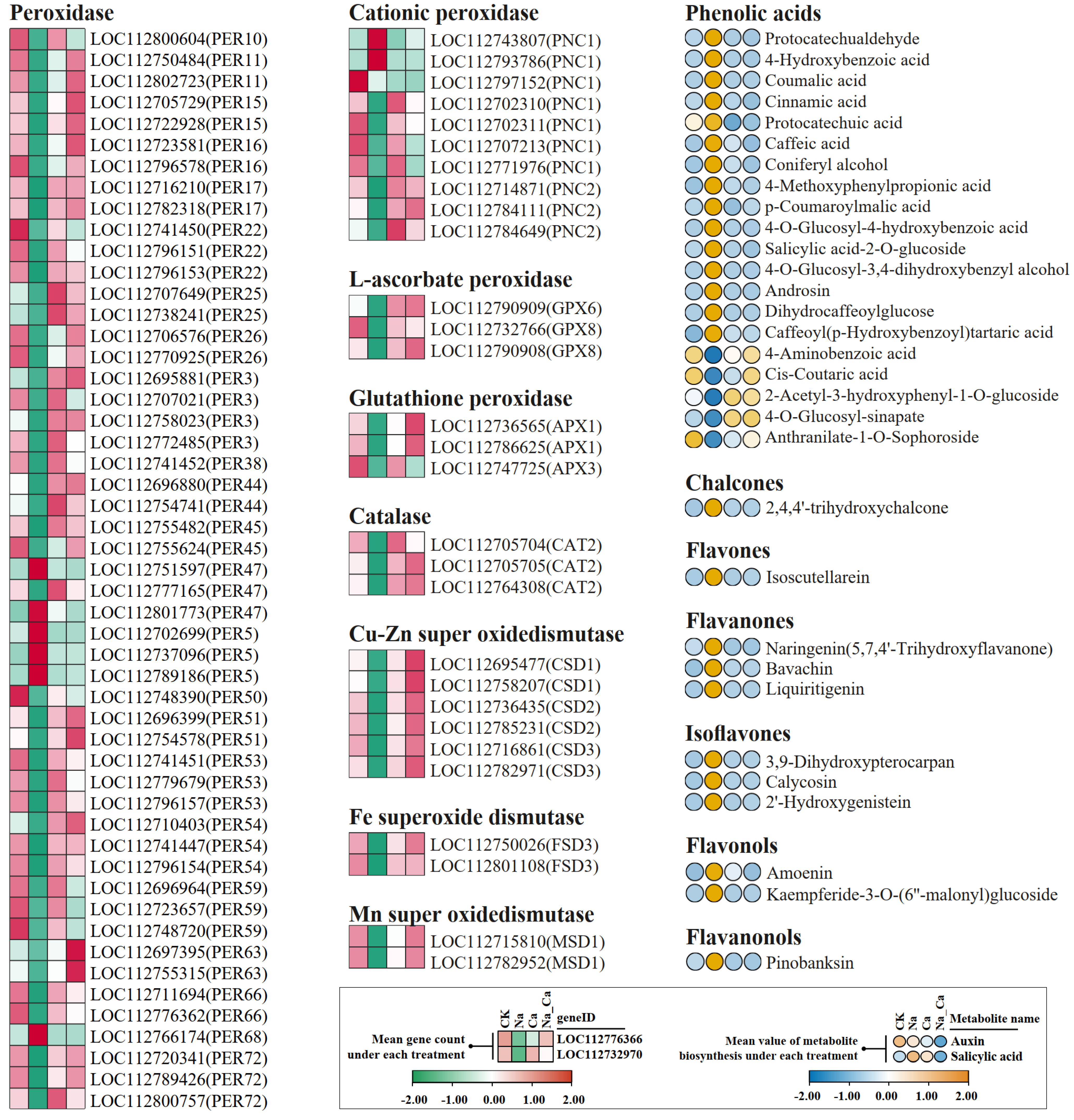 Plants 12 03130 g005