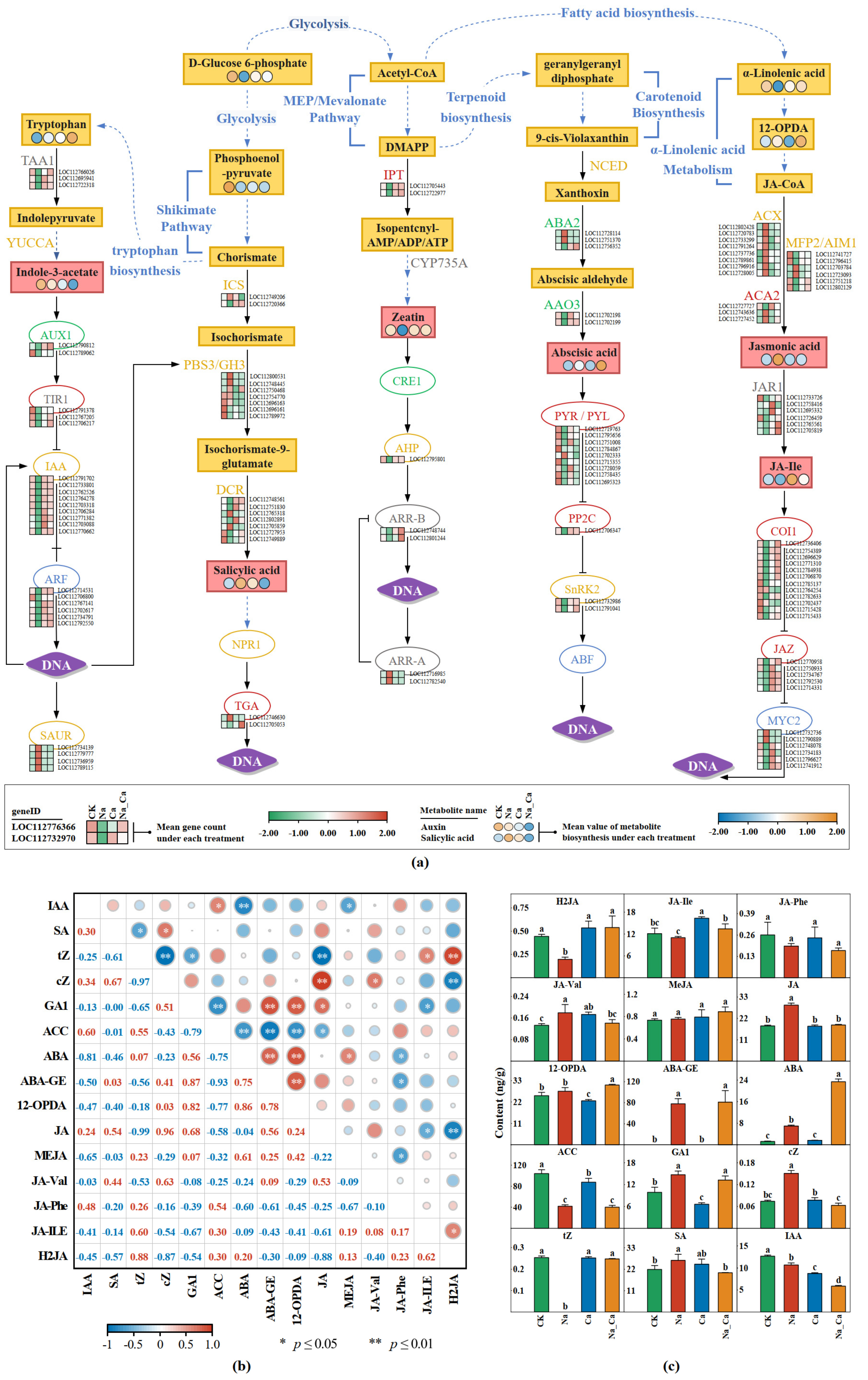 Plants 12 03130 g006