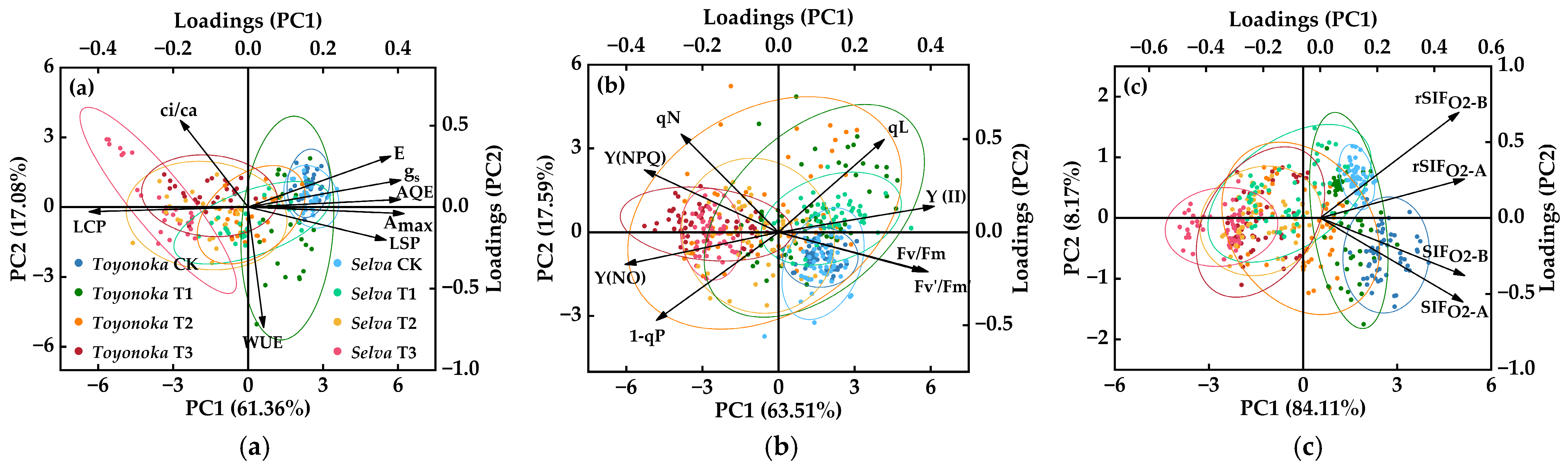 Plants 12 03138 g009
