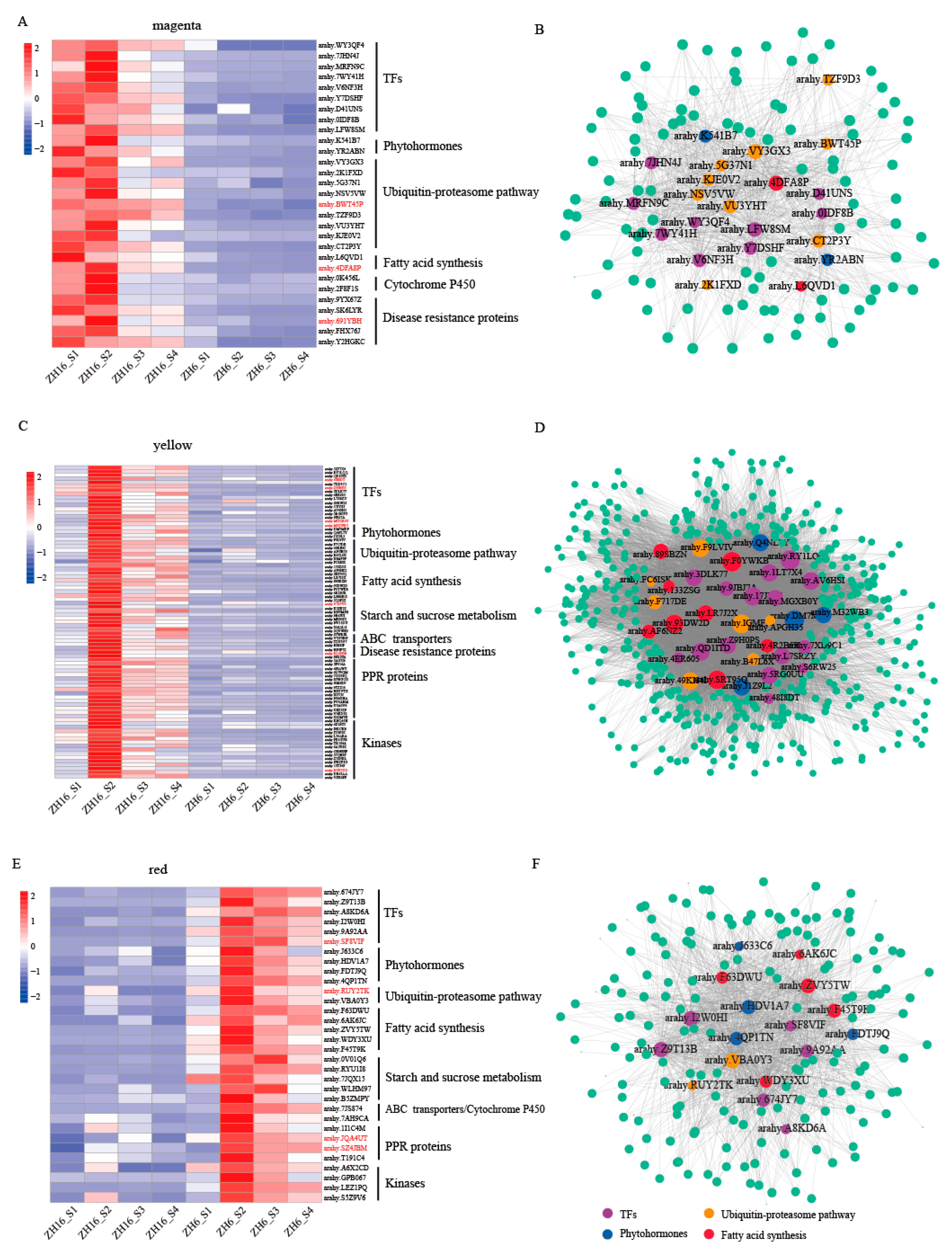 Plants 12 03144 g006