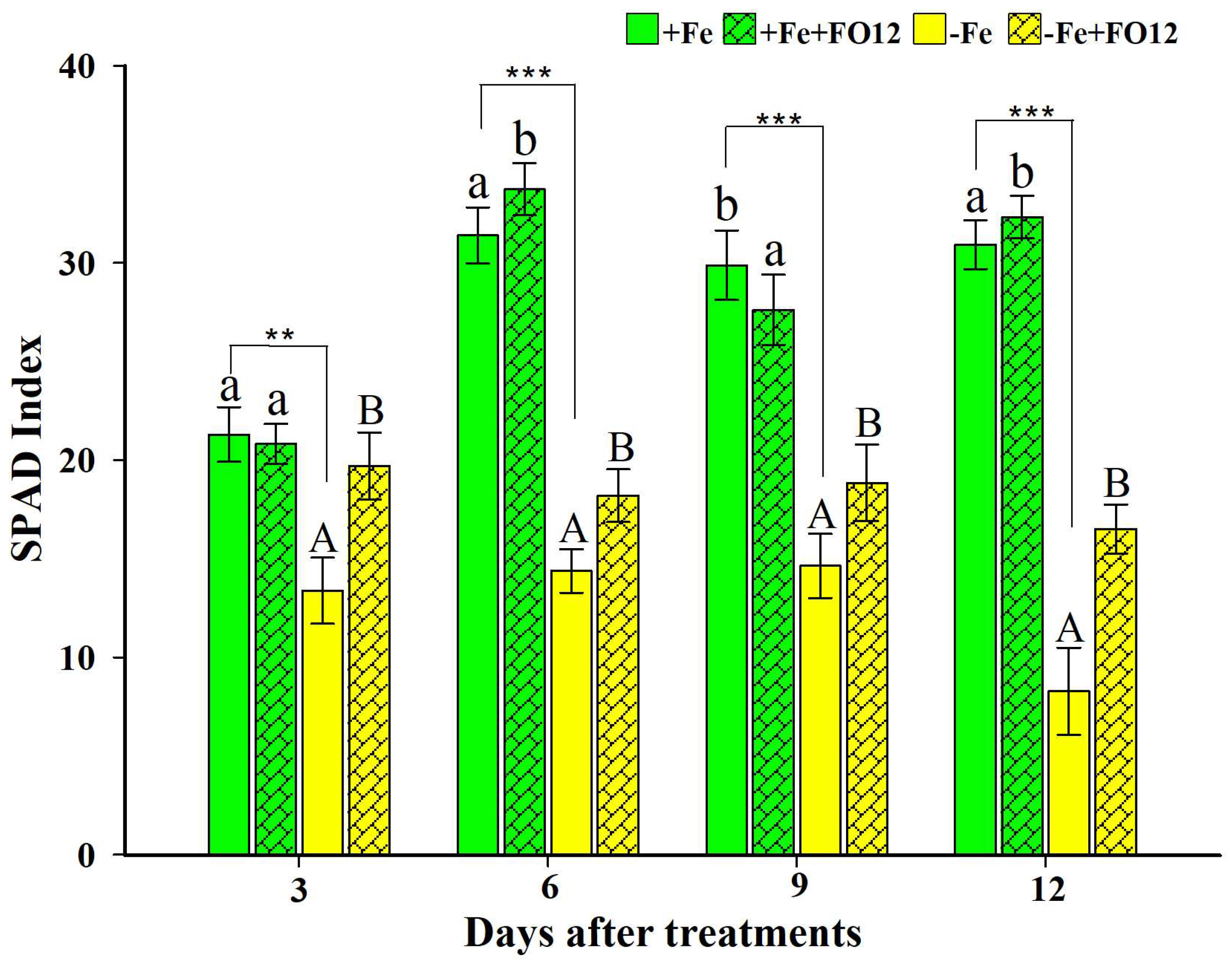 Plants 12 03145 g001