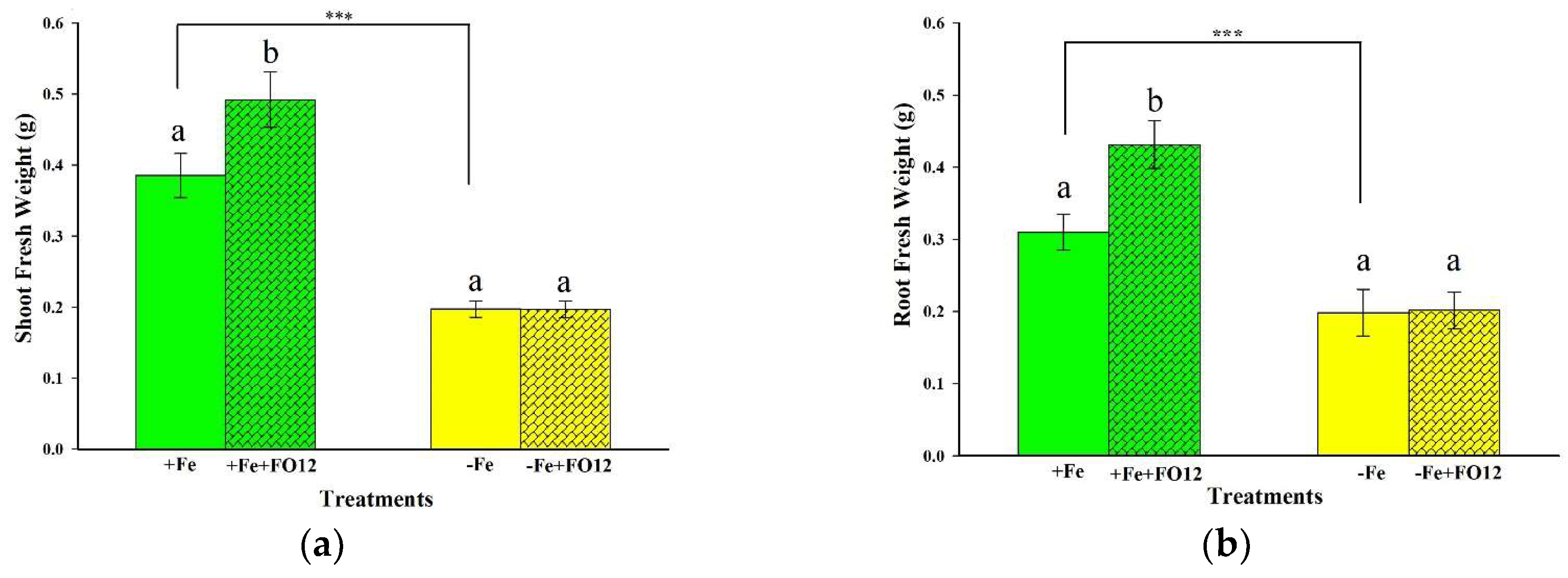 Plants 12 03145 g002